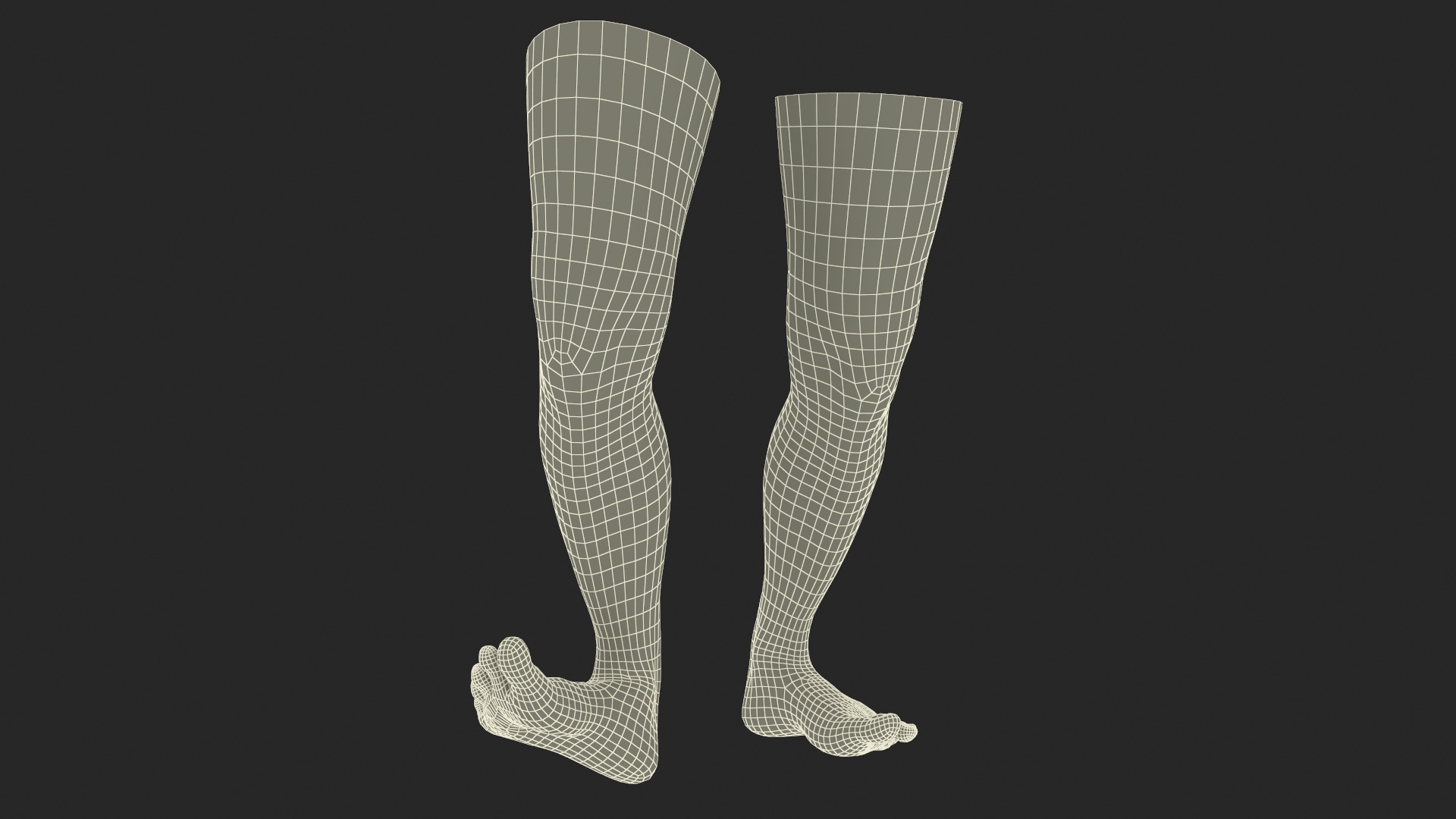 Female Legs Rigged for Cinema 4D 3D