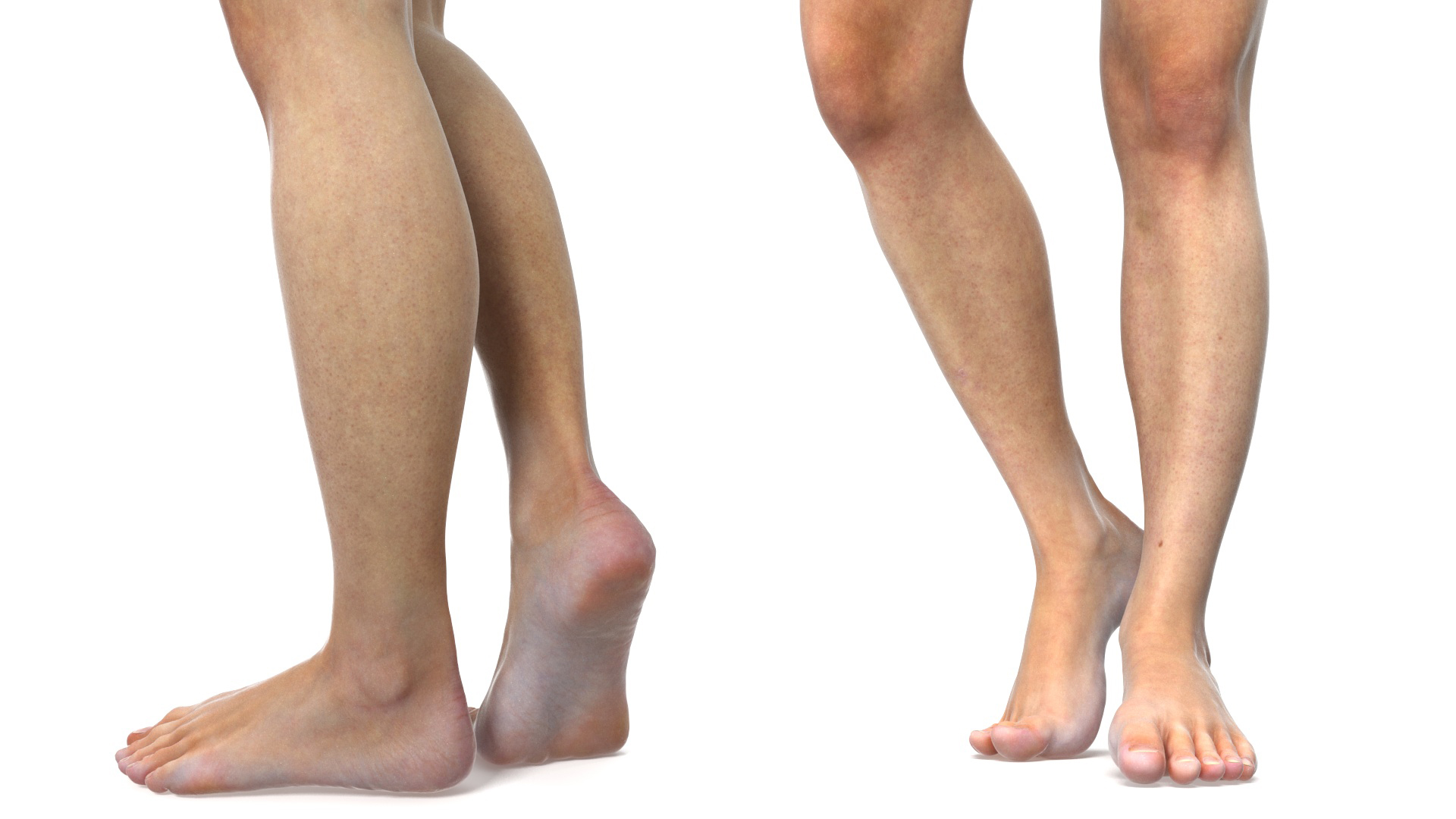 Female Legs Rigged for Cinema 4D 3D