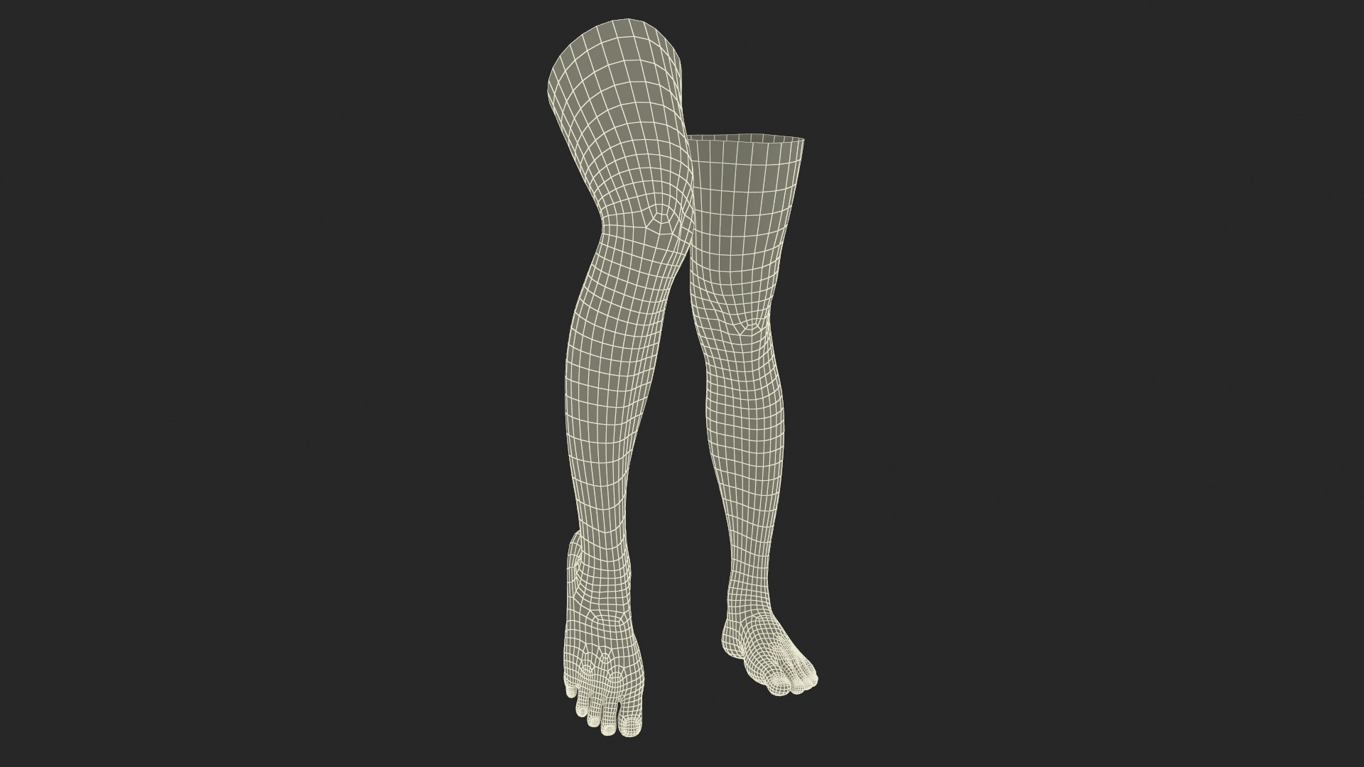 Female Legs Rigged for Cinema 4D 3D
