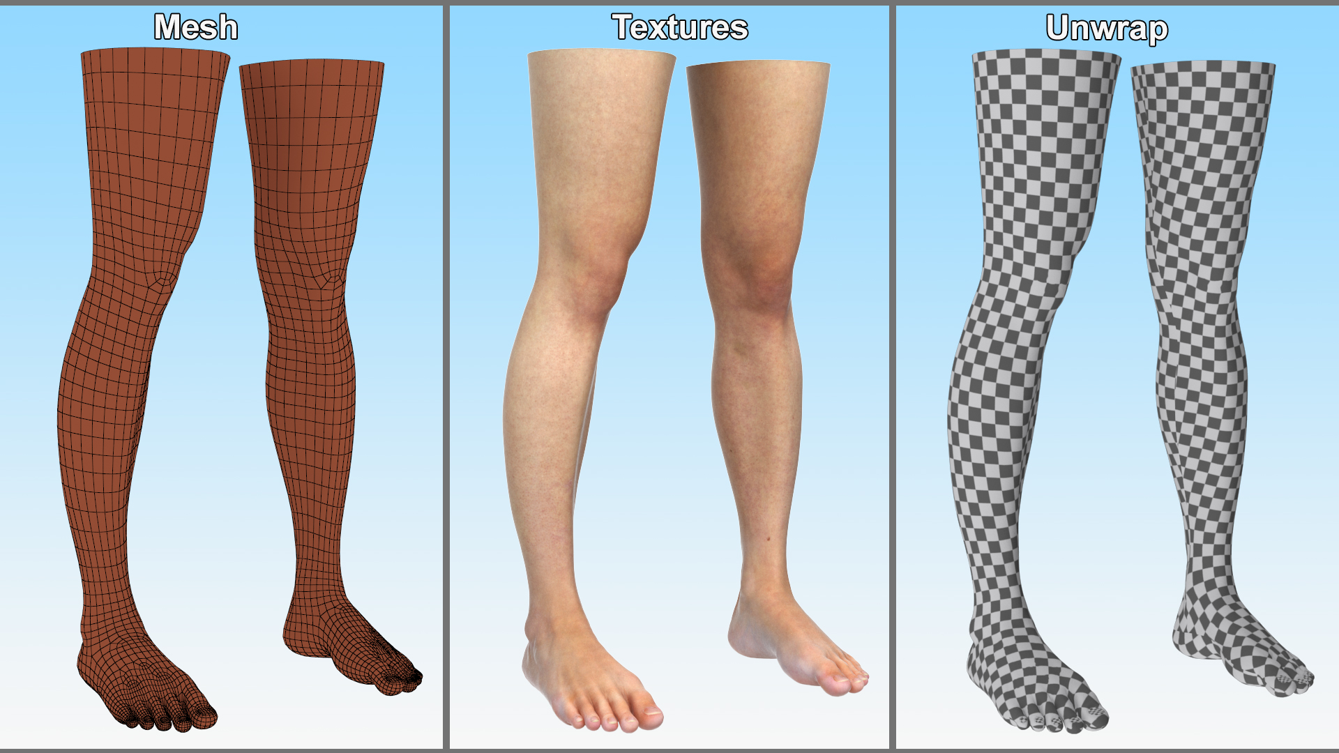 Female Legs Rigged for Cinema 4D 3D