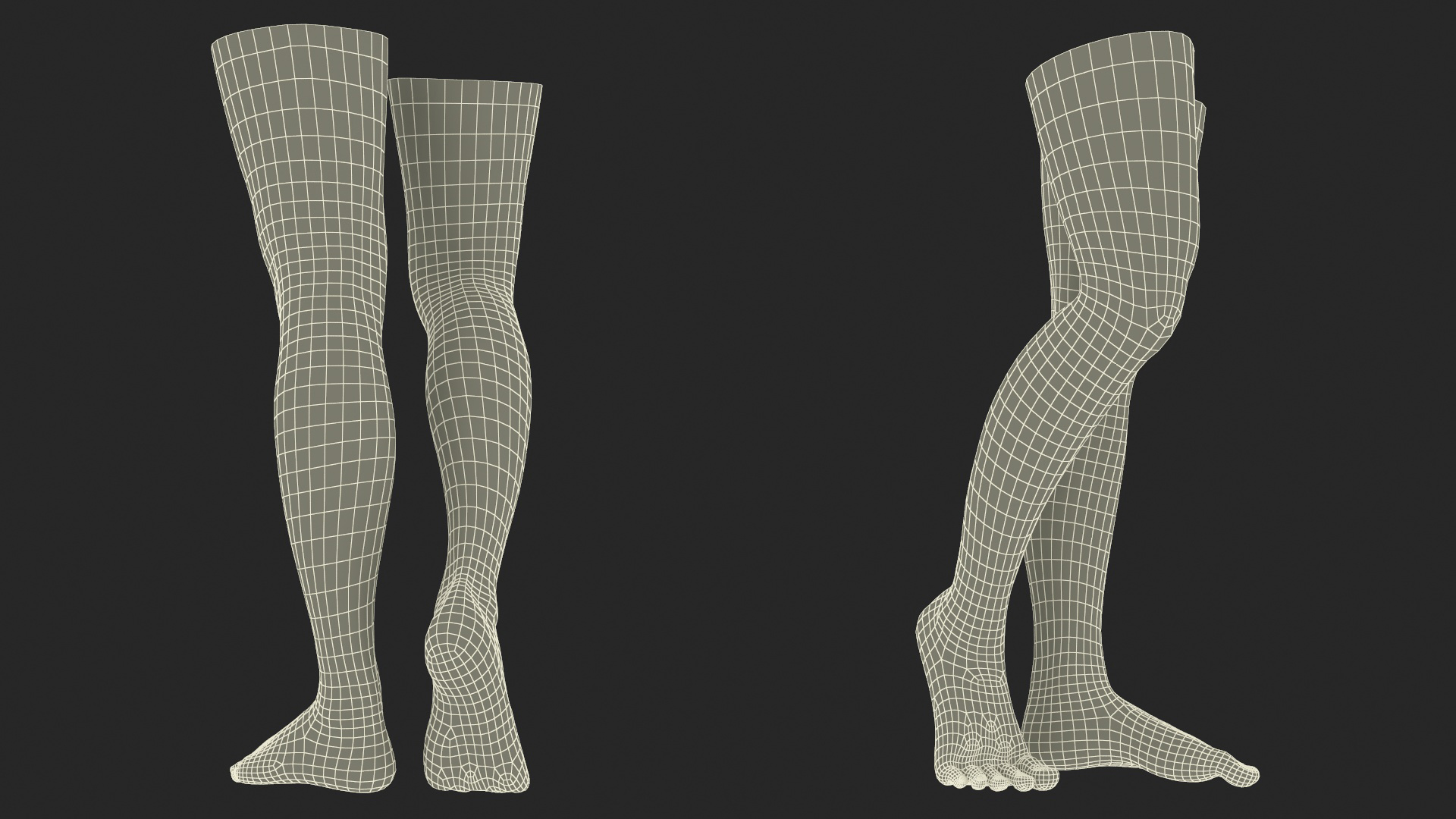 Female Legs Rigged for Cinema 4D 3D