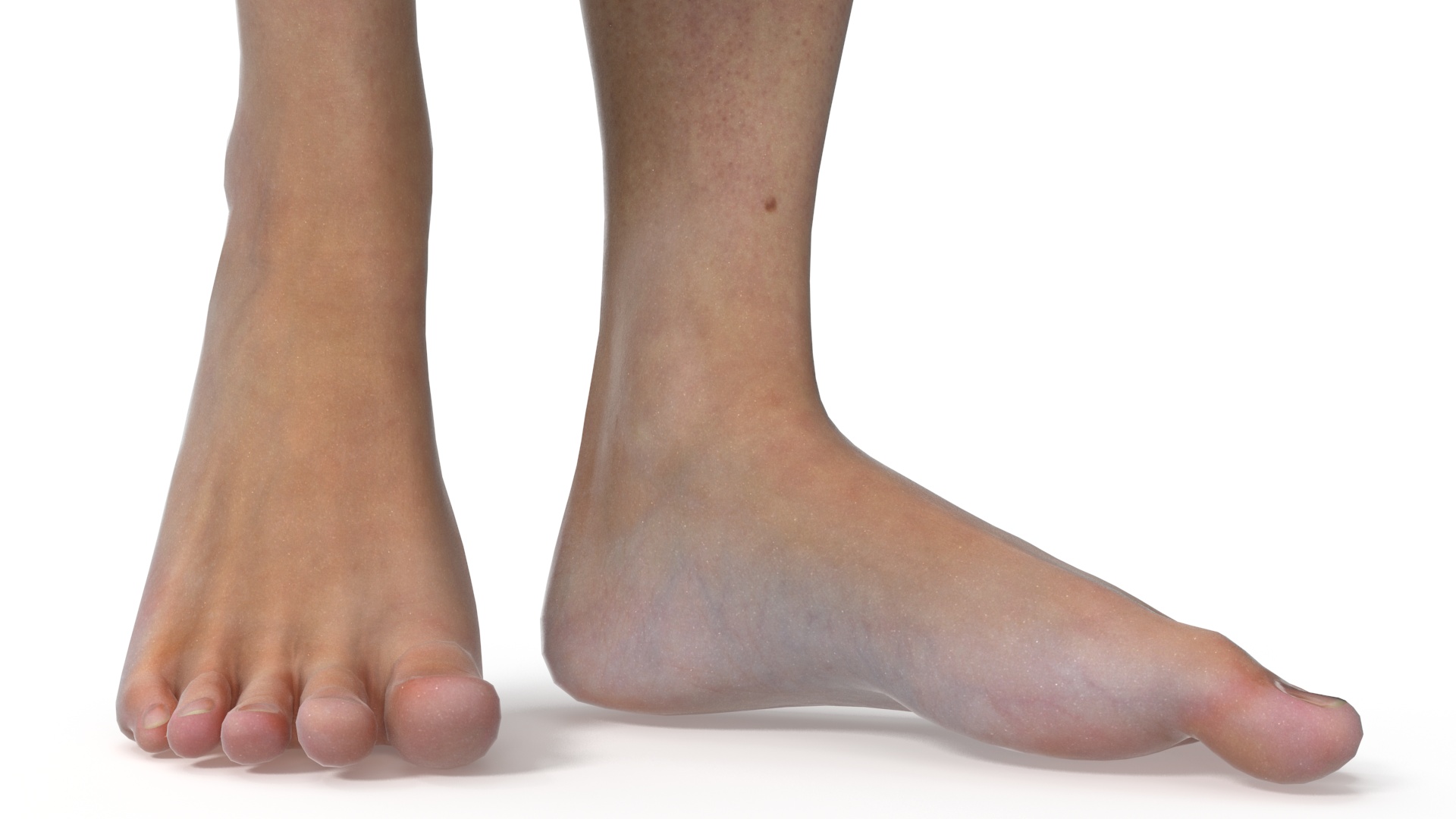 Female Legs Rigged for Cinema 4D 3D