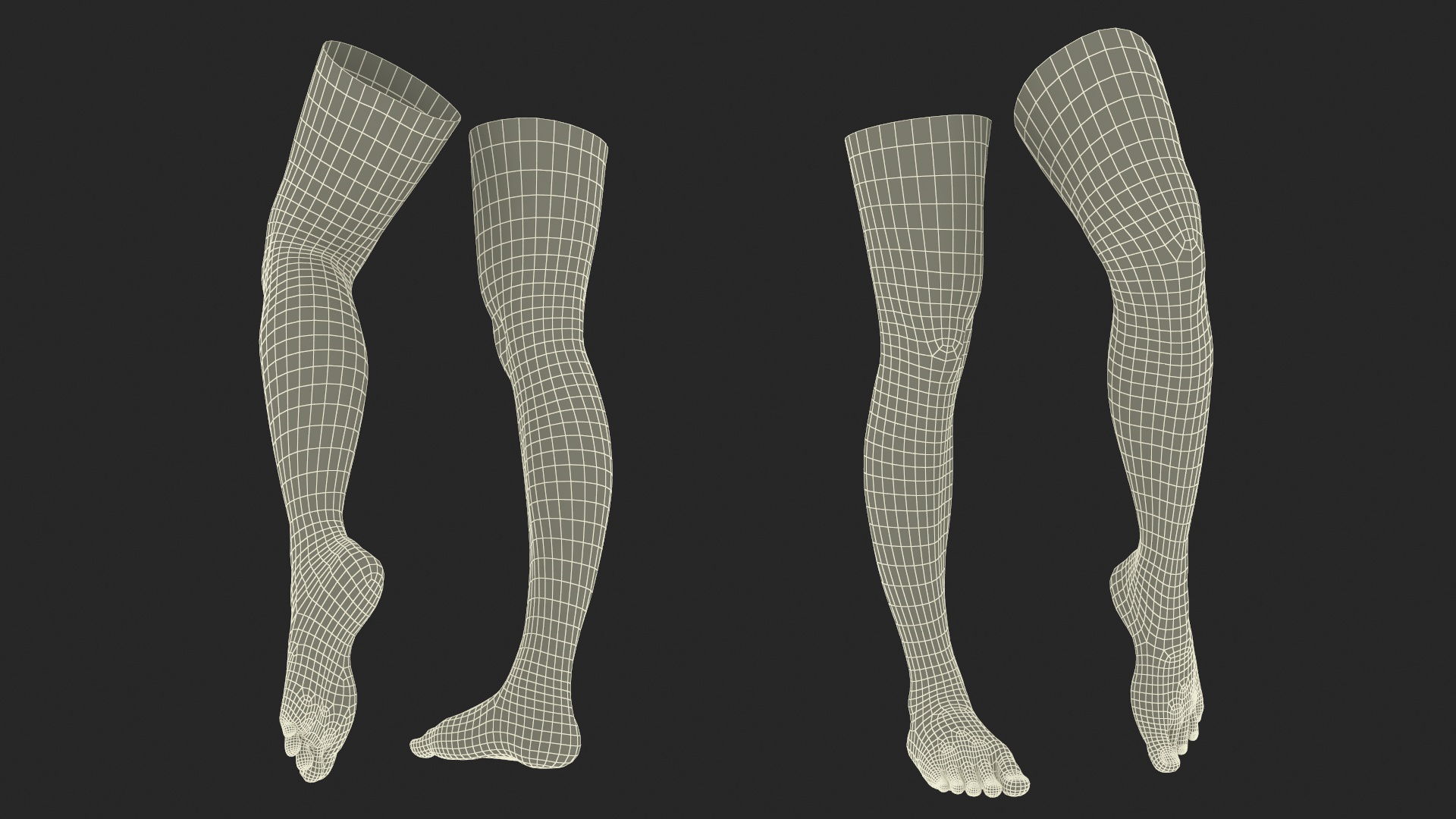 Female Legs Rigged for Cinema 4D 3D