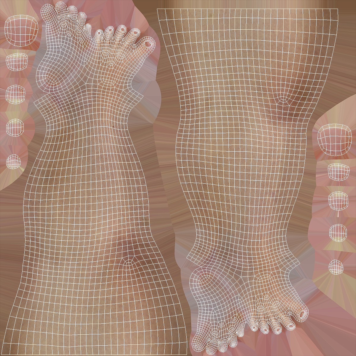 Female Legs Rigged for Cinema 4D 3D
