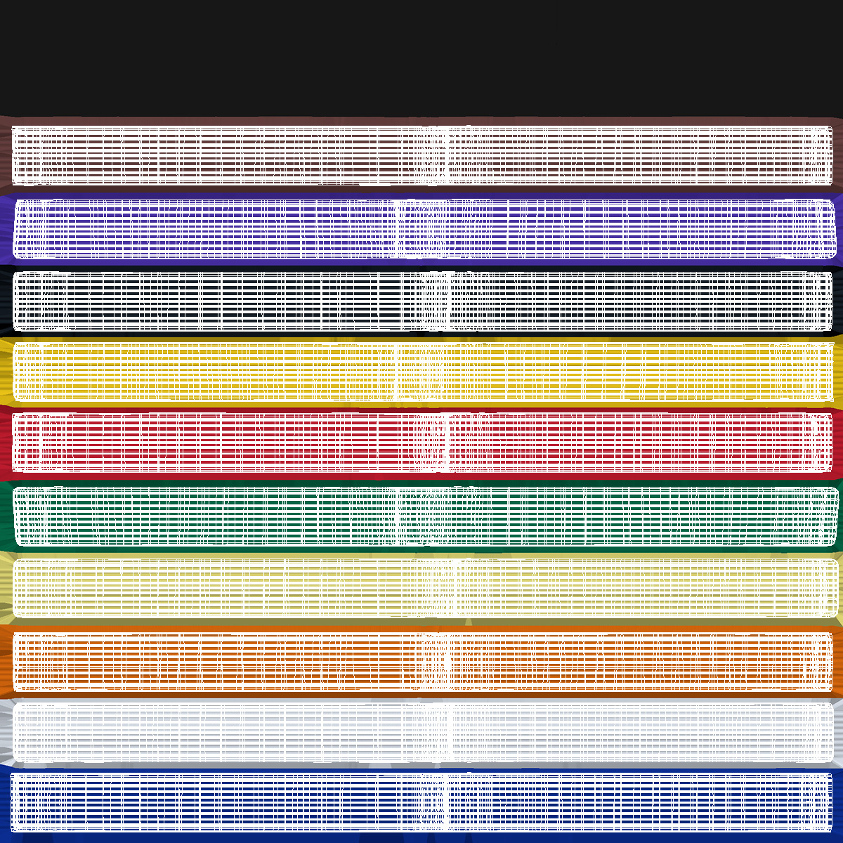 3D Martial Arts Belt Set