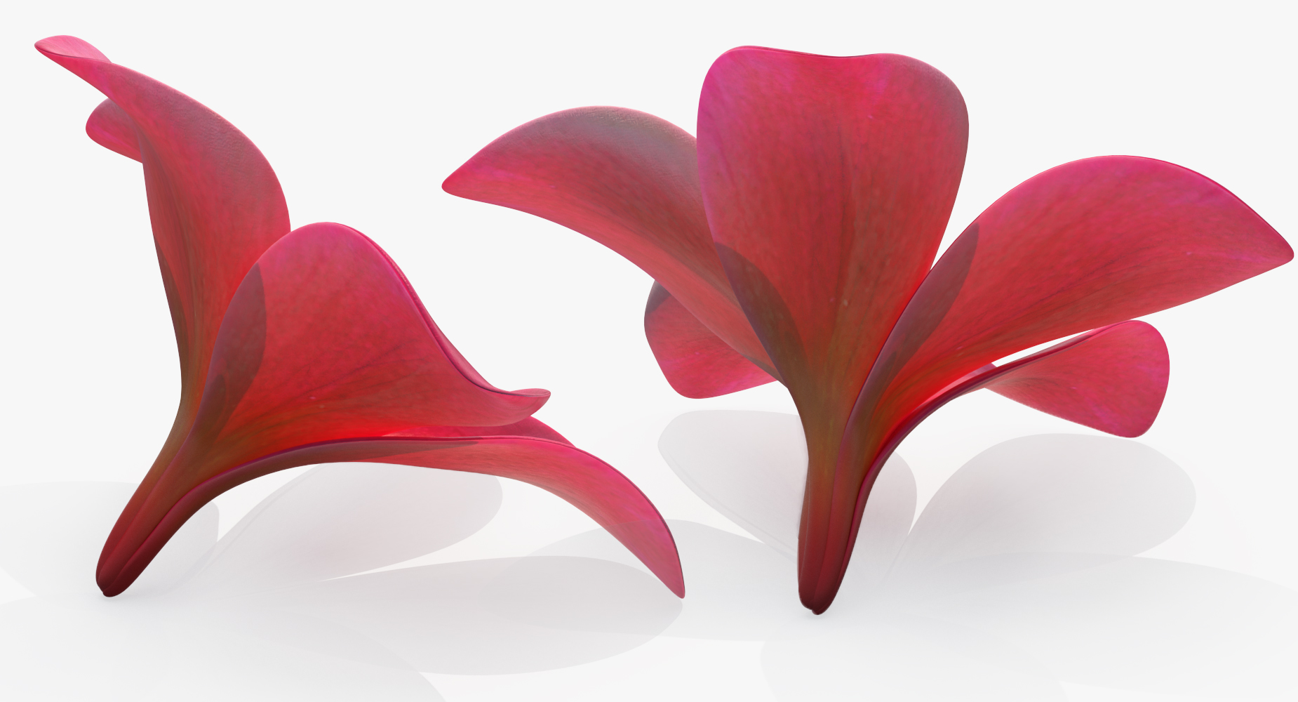 3D Plumeria Red Flower Lei model