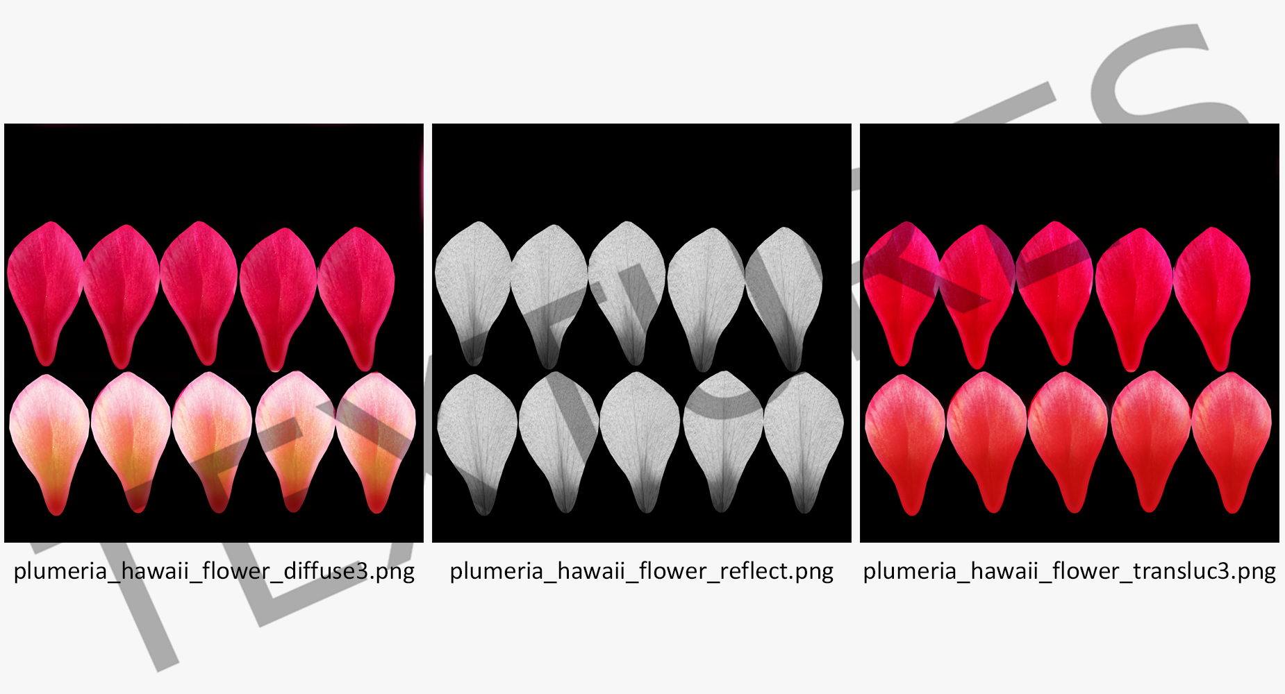 3D Plumeria Red Flower Lei model