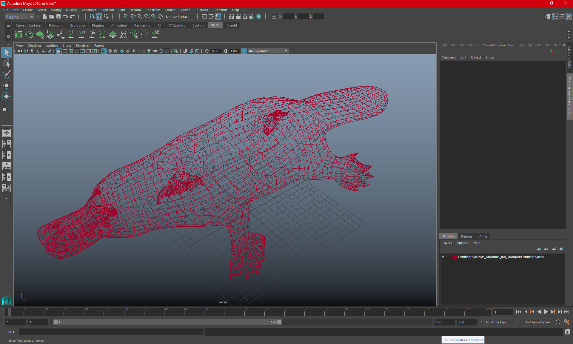 Ornithorhynchus Anatinus 3D model
