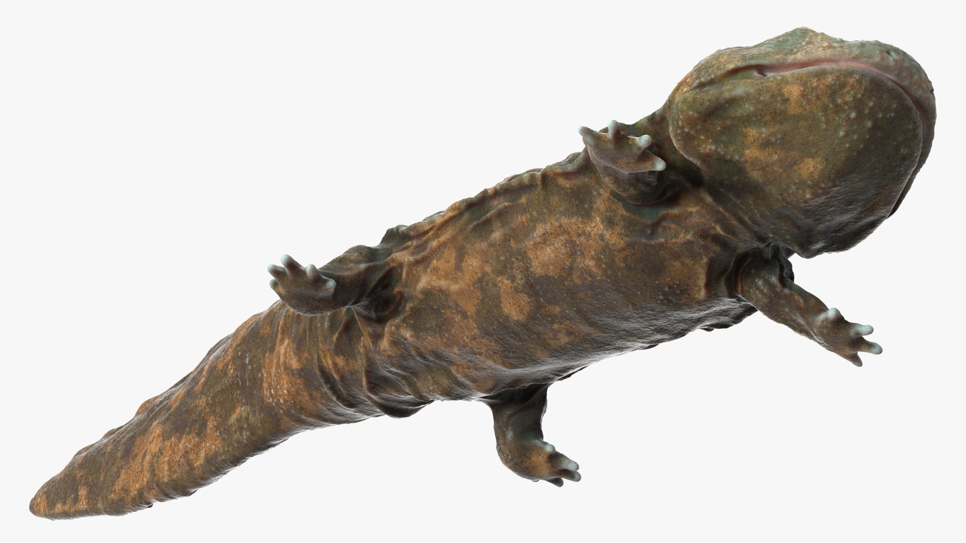 Chinese Giant Salamander Light Wet 3D model