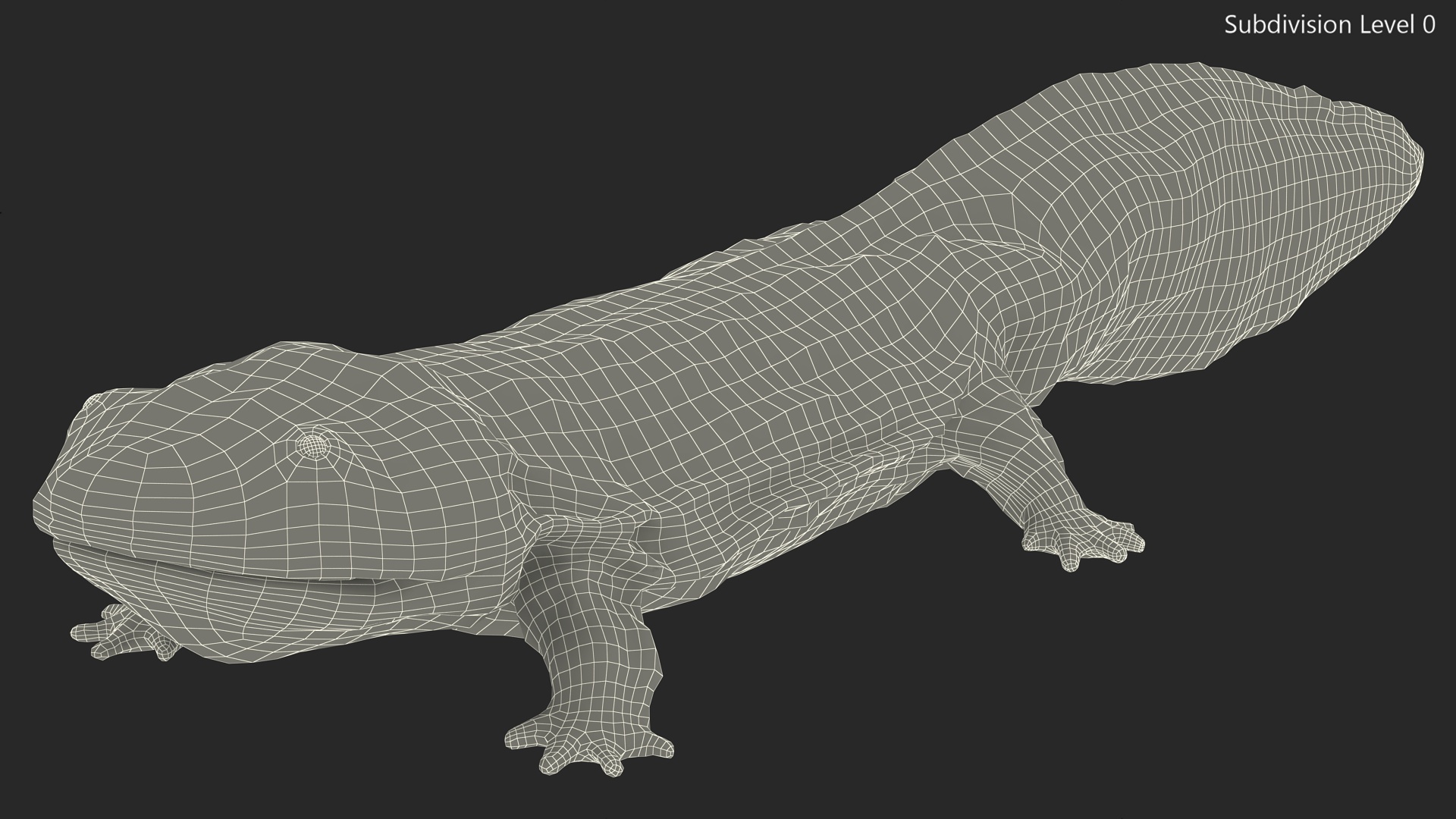 Chinese Giant Salamander Light Wet 3D model