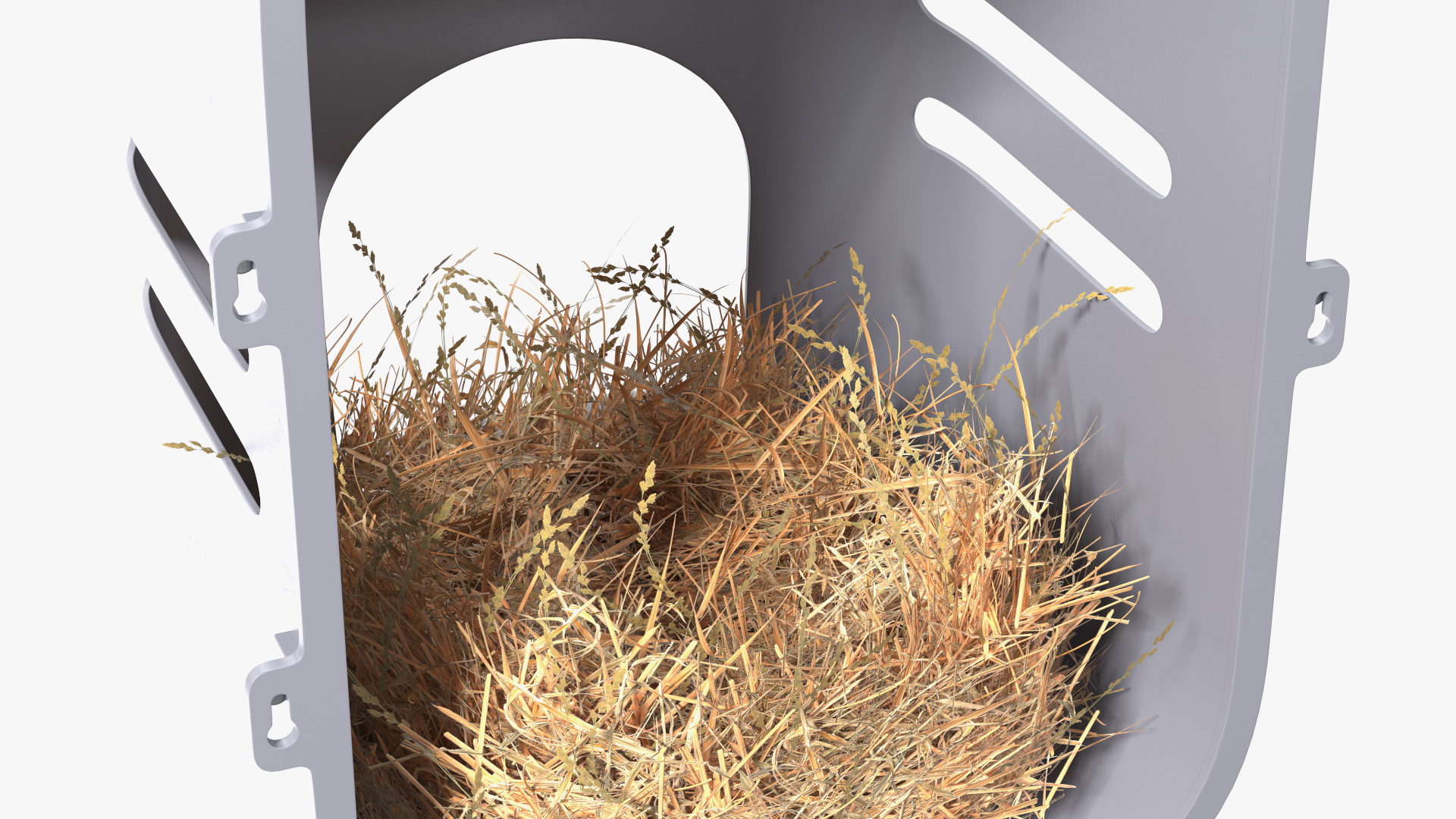 Wall Mount Nesting Nest Box for Chicken Coop 3D model
