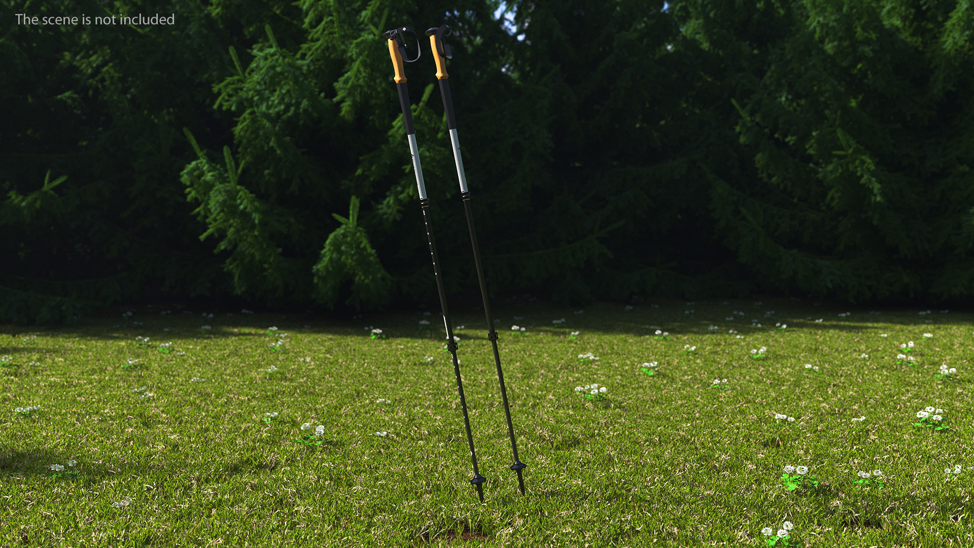 3D White Black Diamond Carbon Trekking-Poles