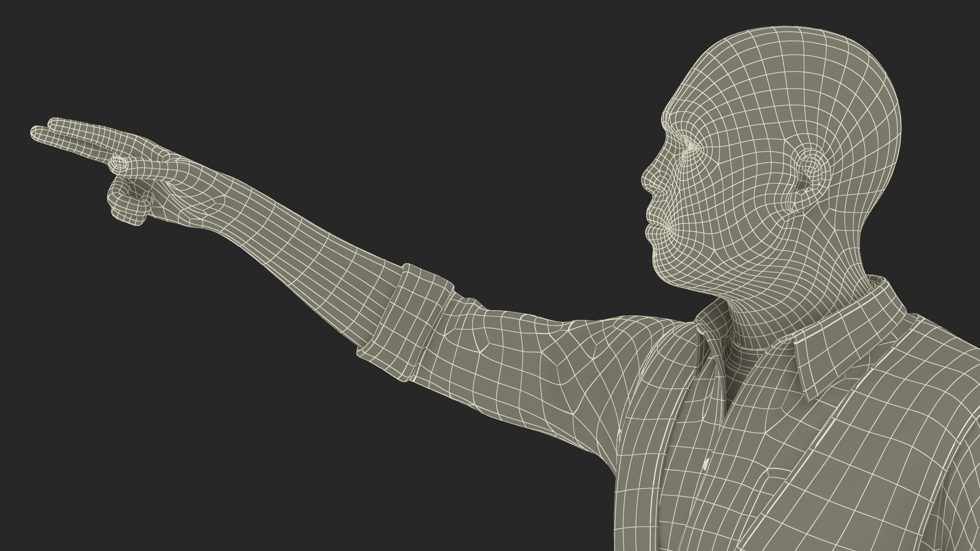 Construction Worker Pointing Pose Fur 3D