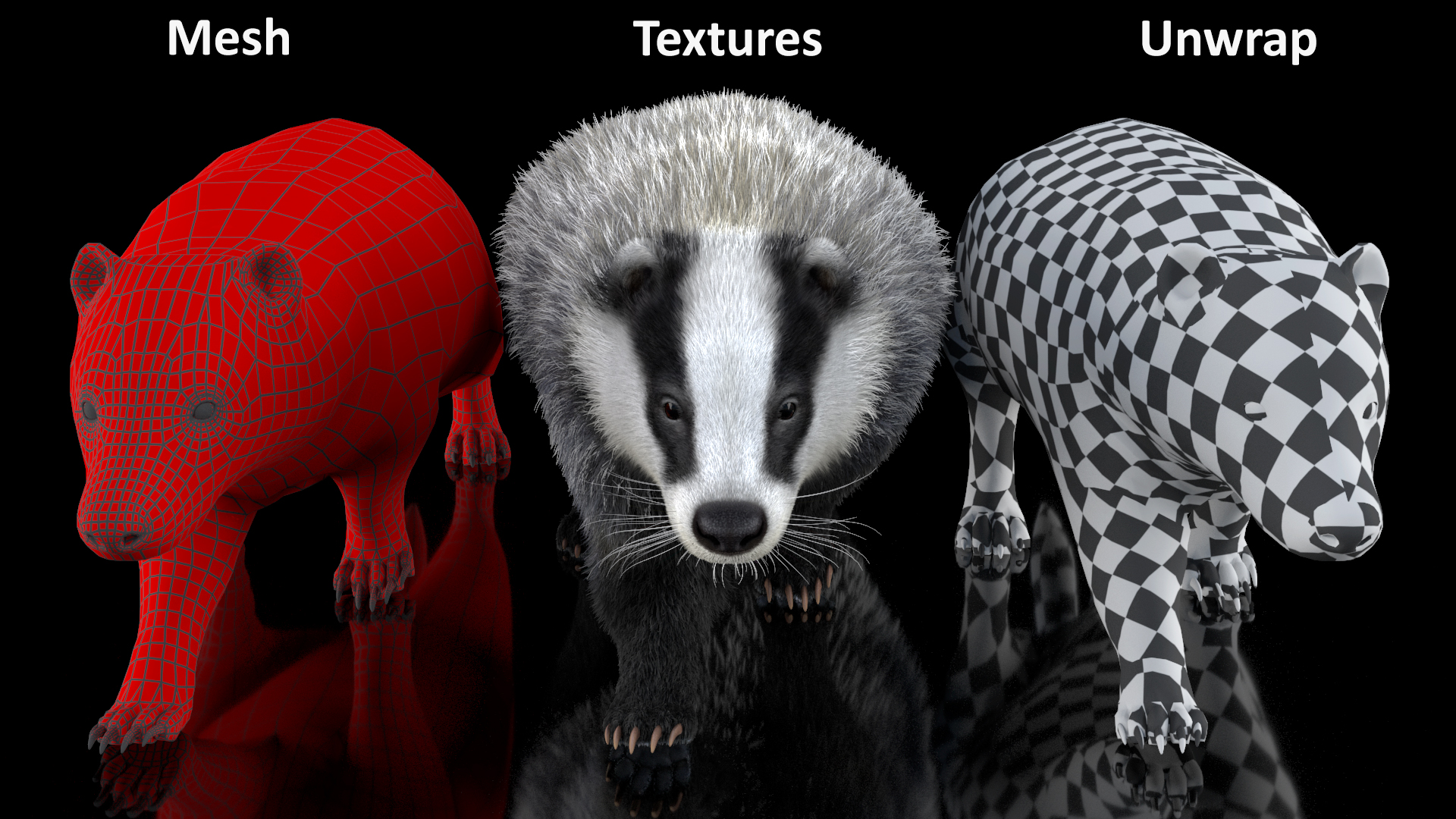 Walking Badger 3D model