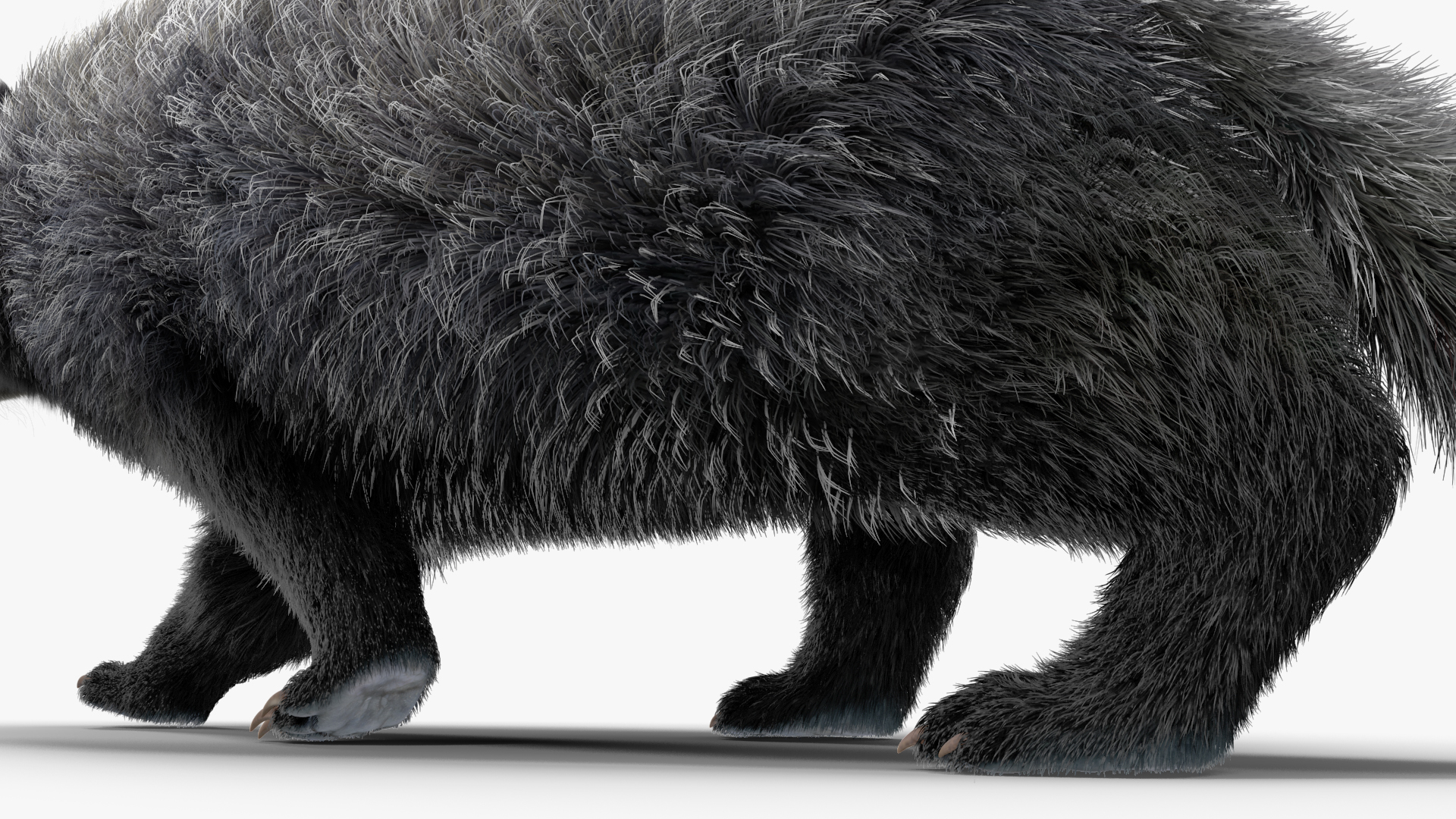 Walking Badger 3D model
