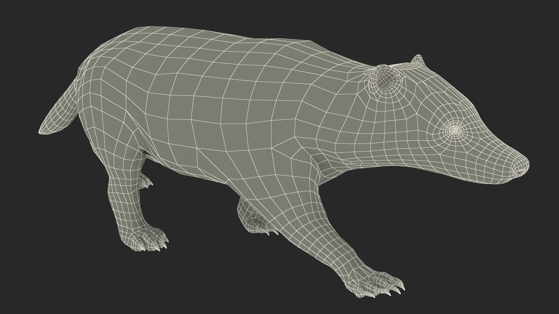 Walking Badger 3D model