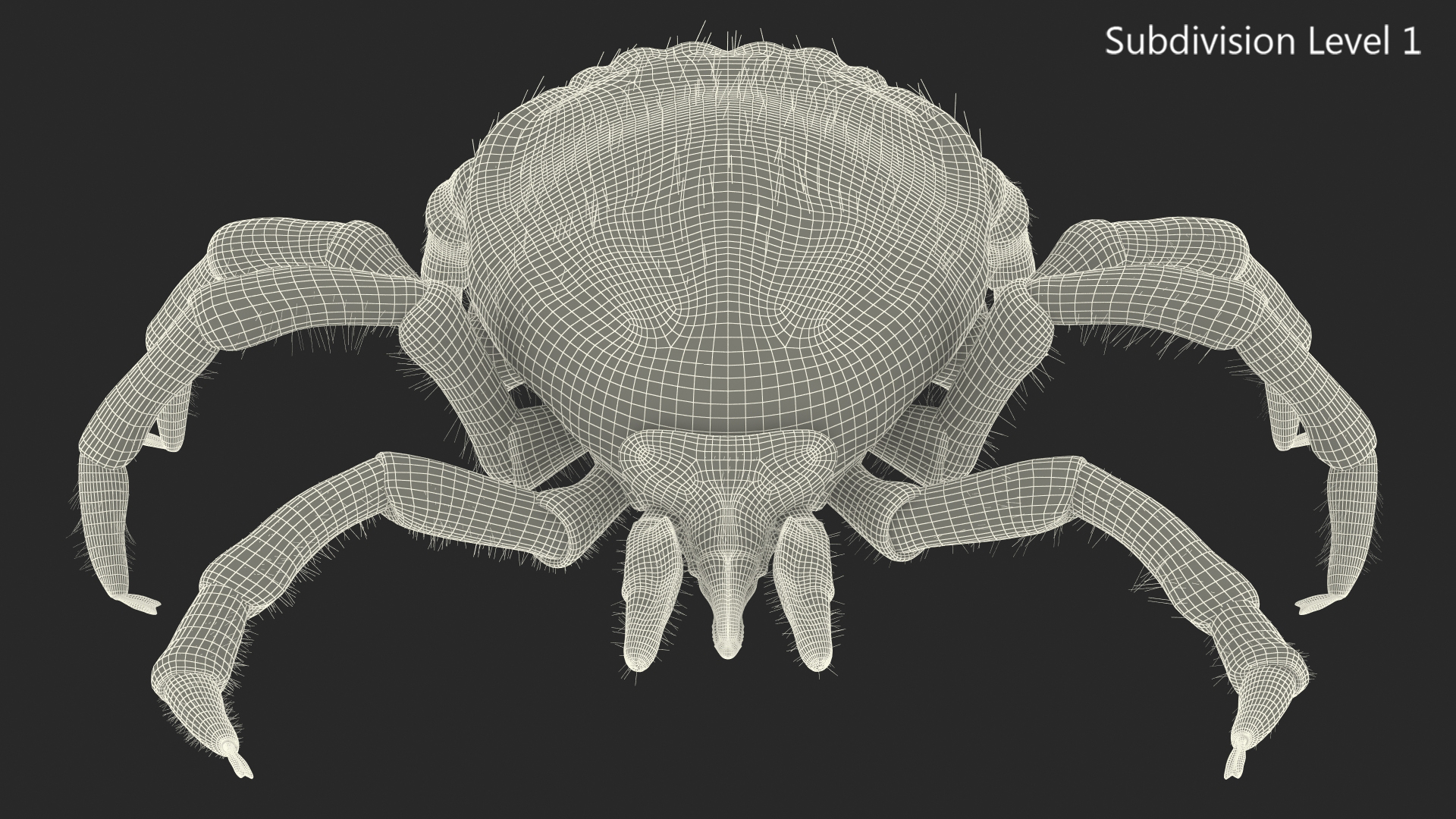 3D model Tick Fur Rigged