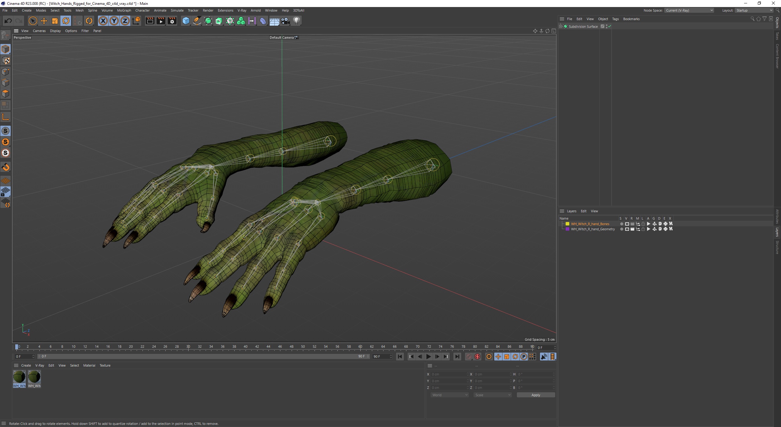 Witch Hands Rigged for Cinema 4D 3D