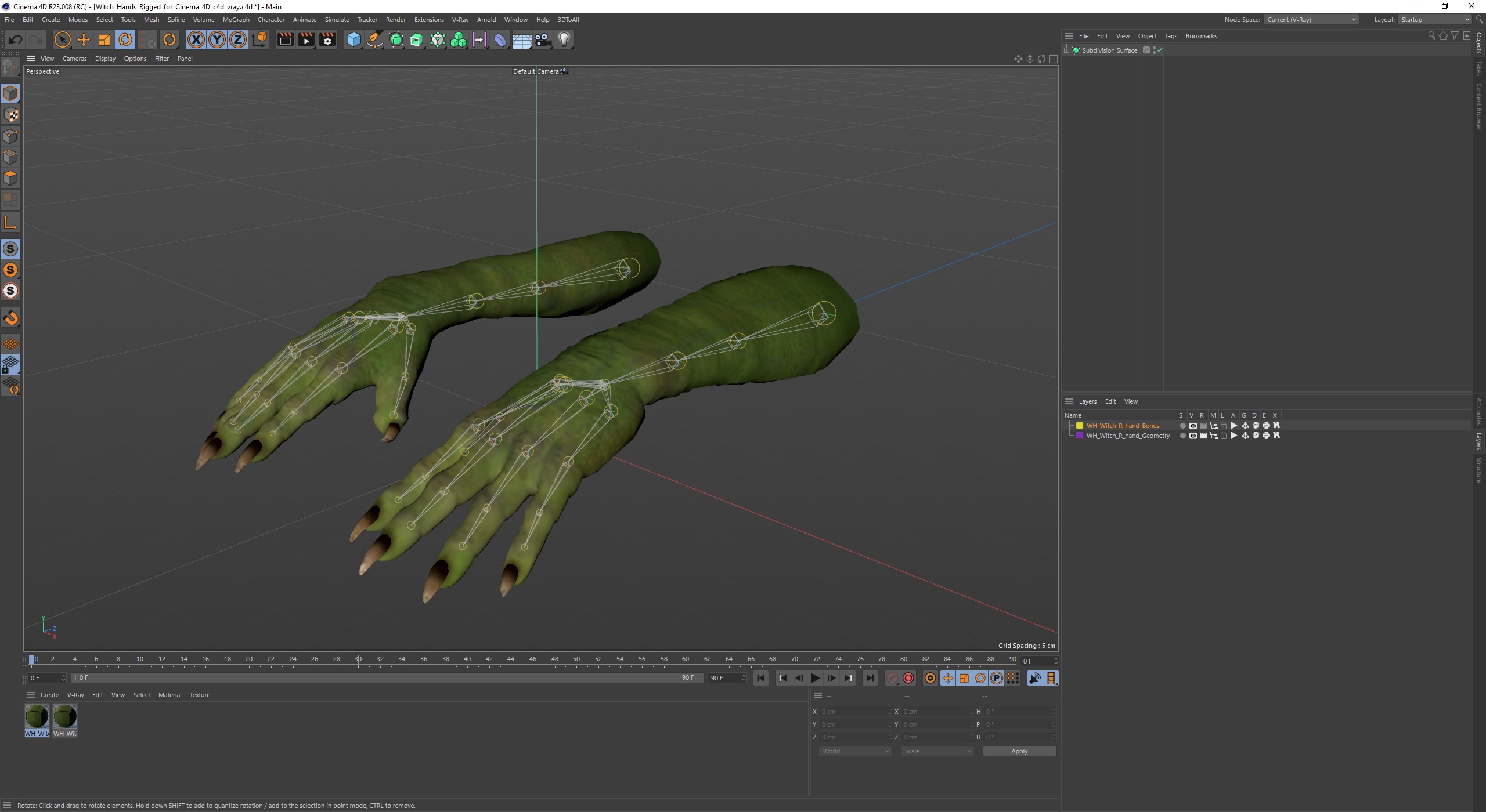 Witch Hands Rigged for Cinema 4D 3D