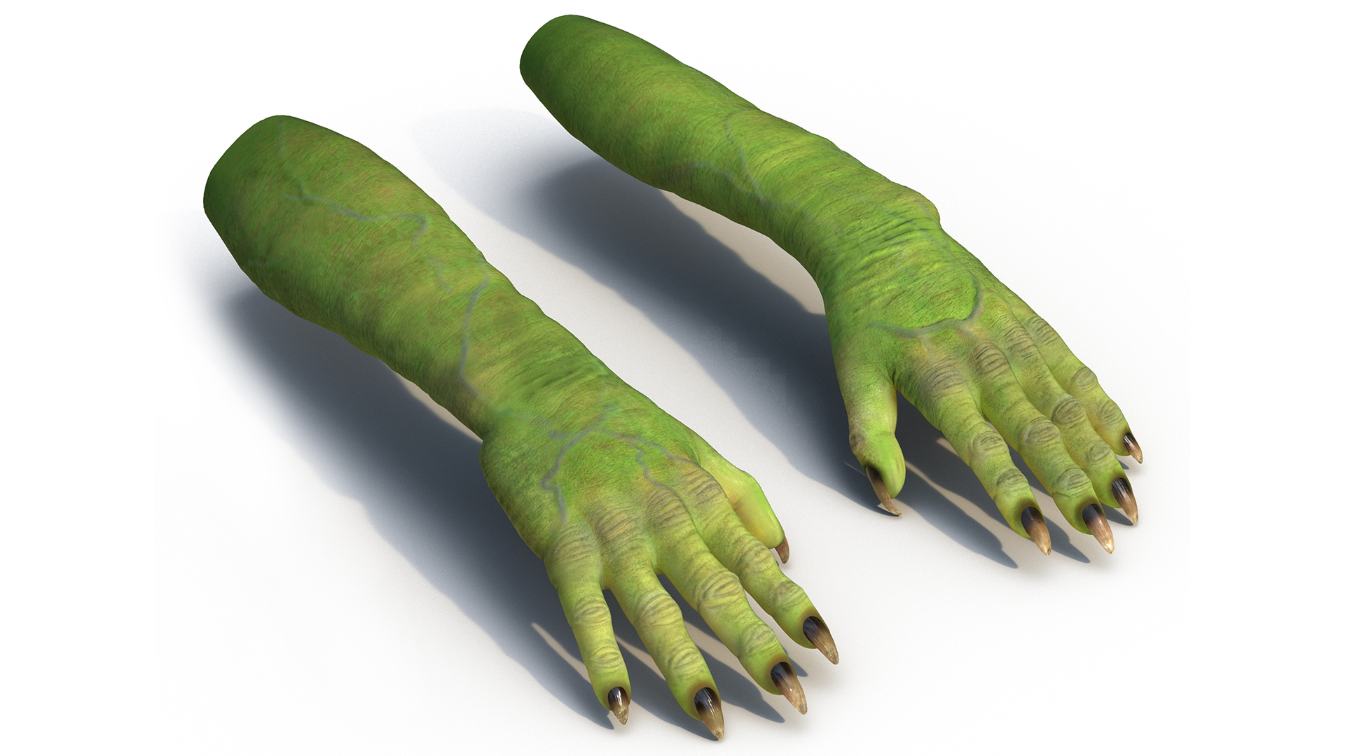 Witch Hands Rigged for Cinema 4D 3D