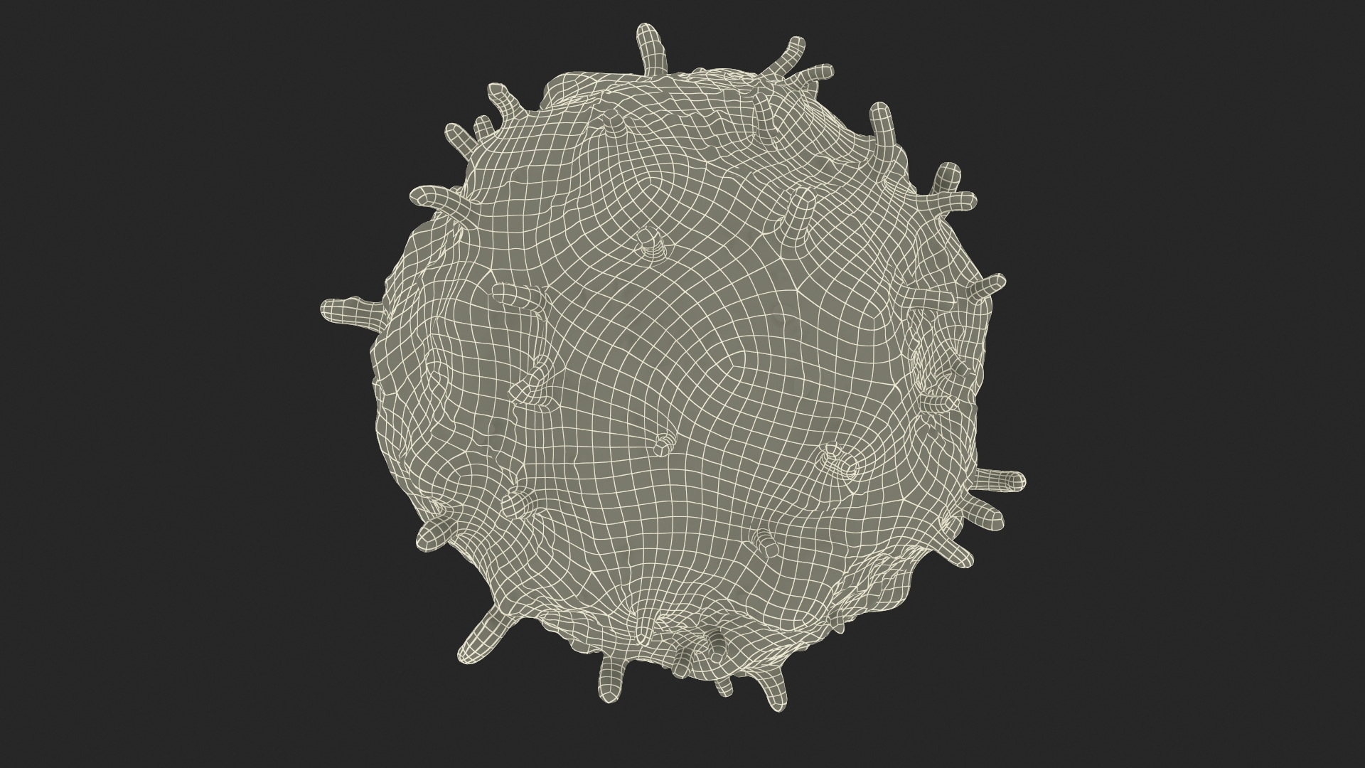 3D Lymphocyte Blood Cell