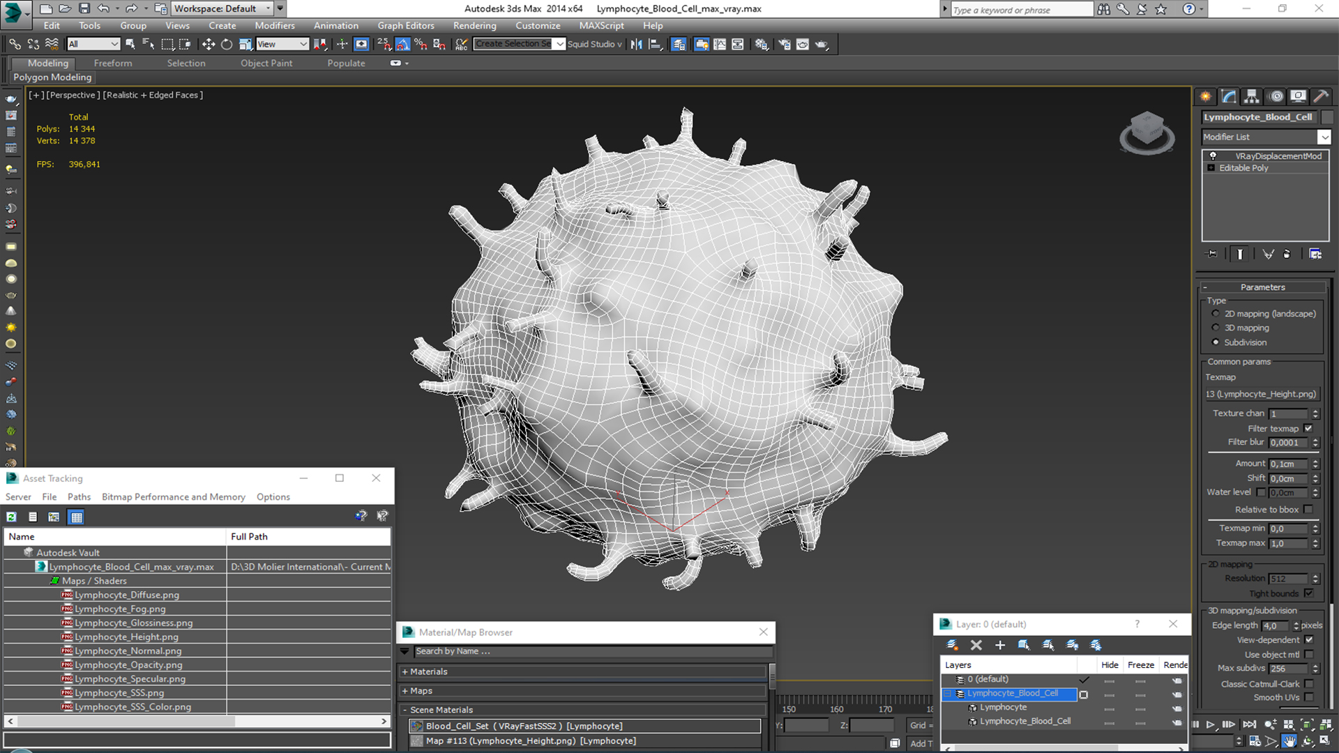 3D Lymphocyte Blood Cell