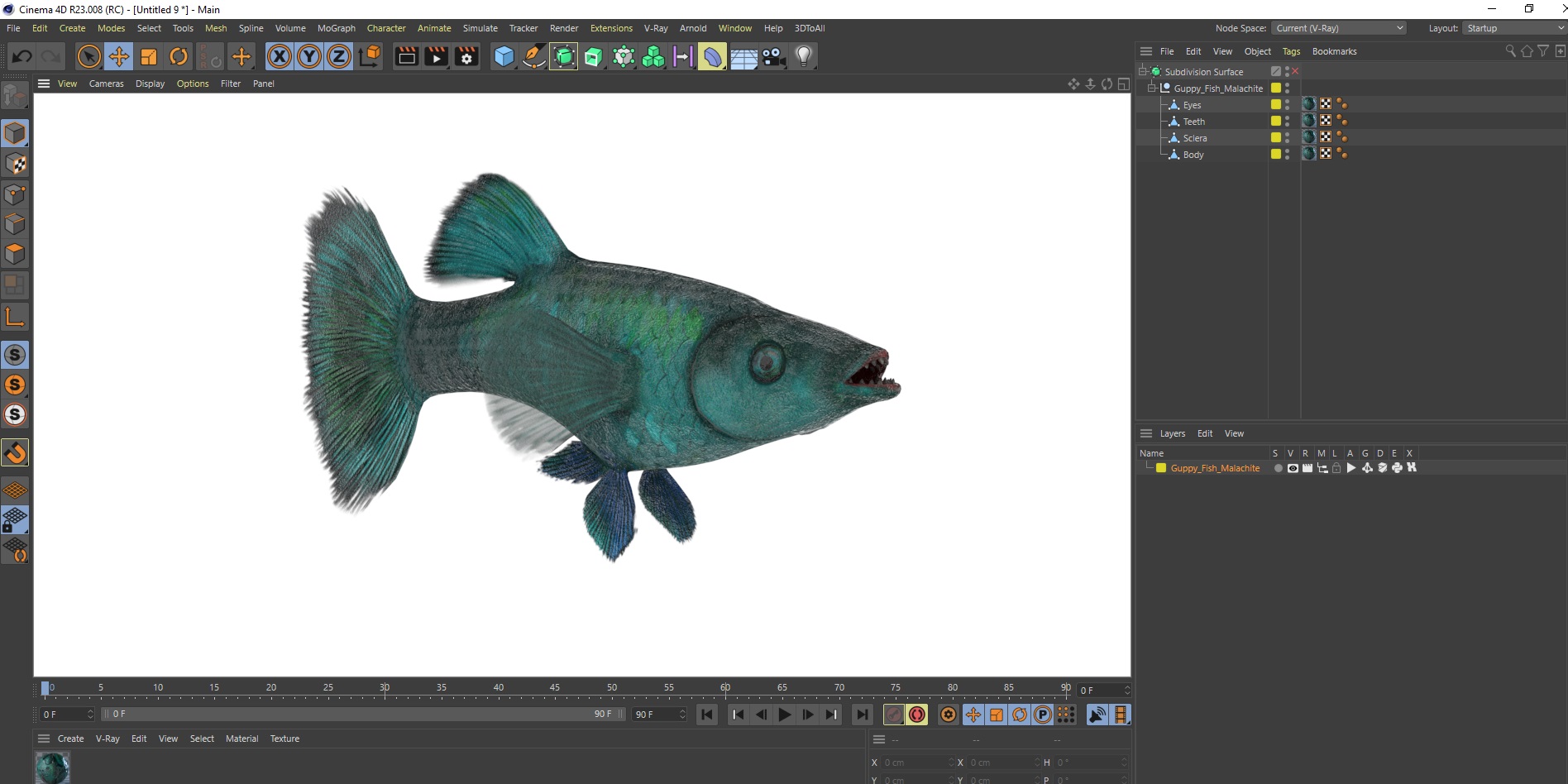 3D model Guppy Fish Malachite