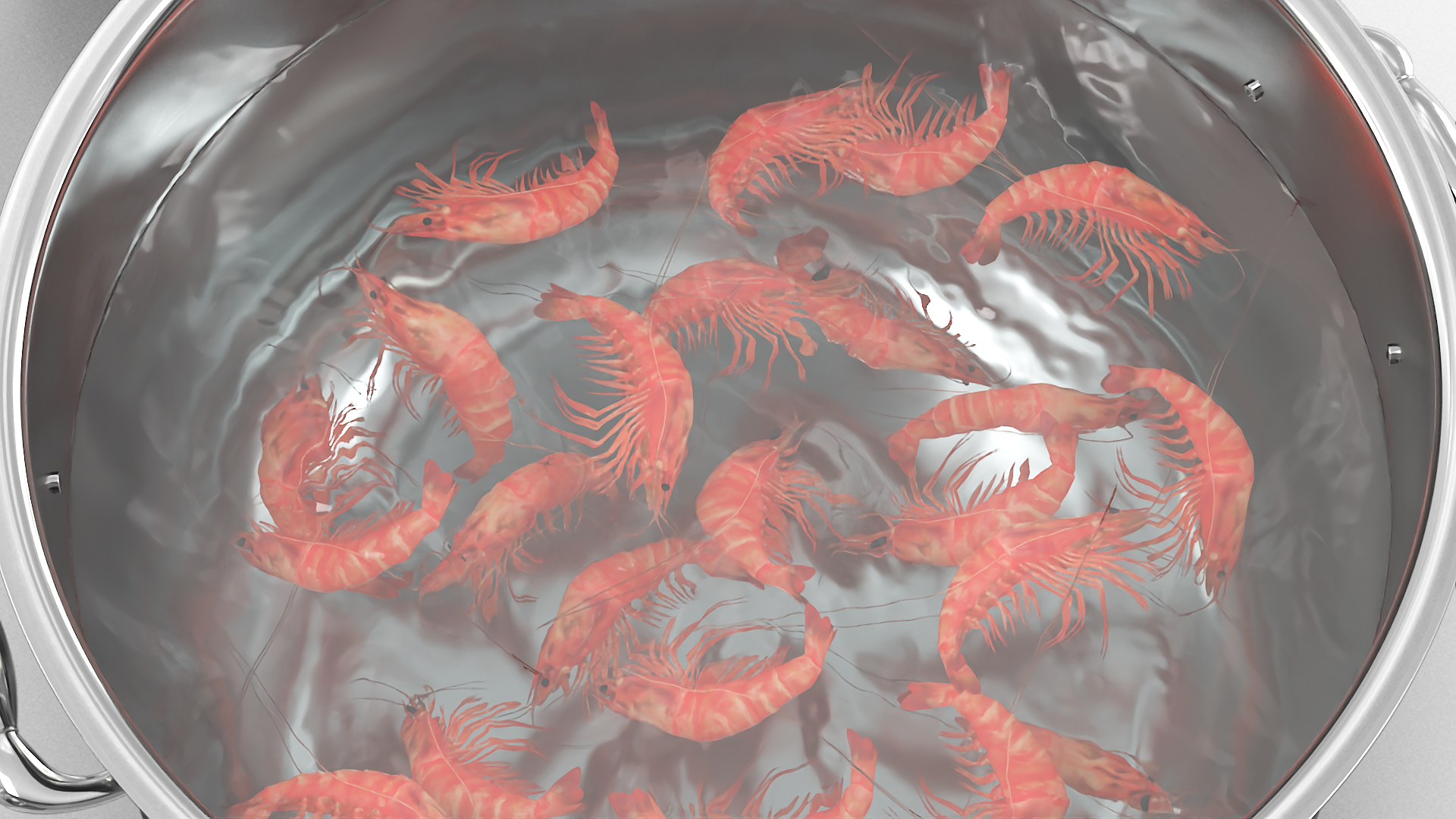 Boiled Shrimp in Stainless Steel Stockpot, view 6
