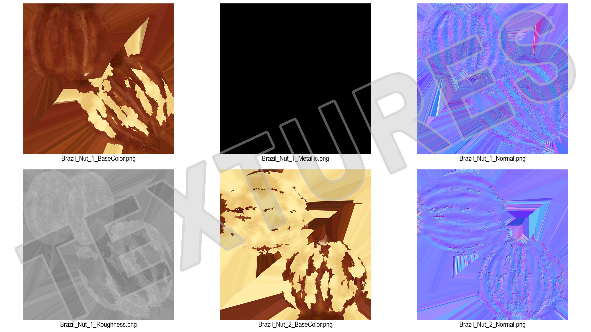 3D model Brazil Nut