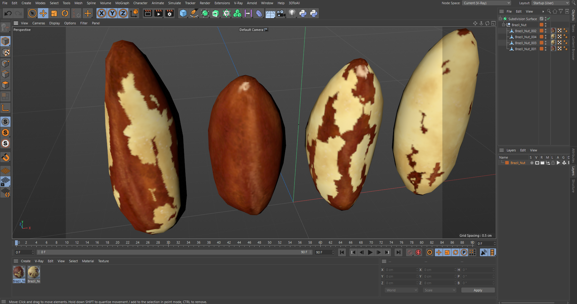3D model Brazil Nut