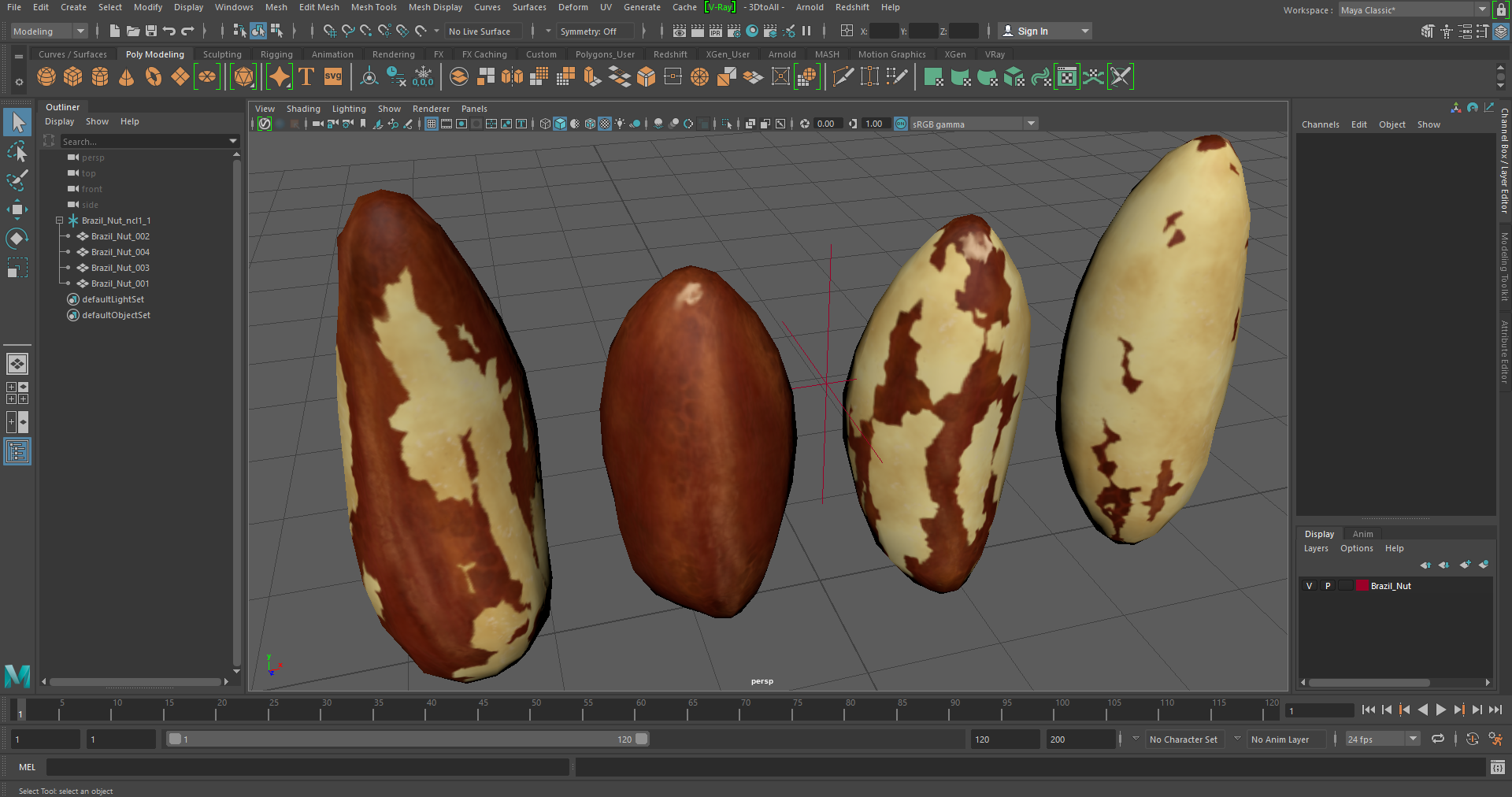 3D model Brazil Nut