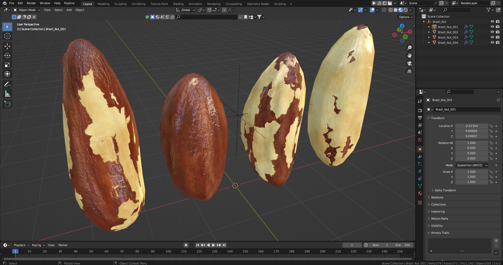 3D model Brazil Nut