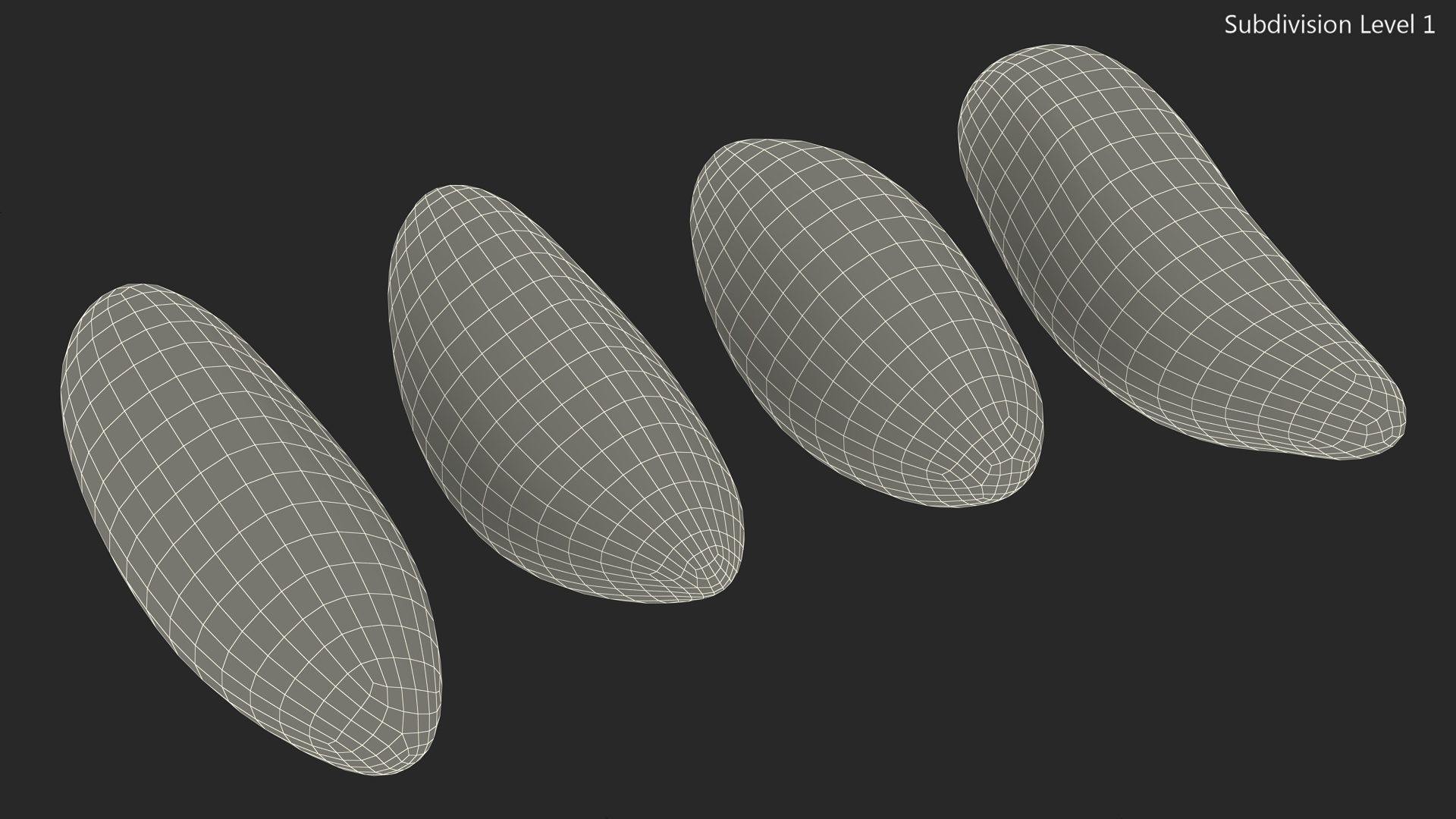 3D model Brazil Nut