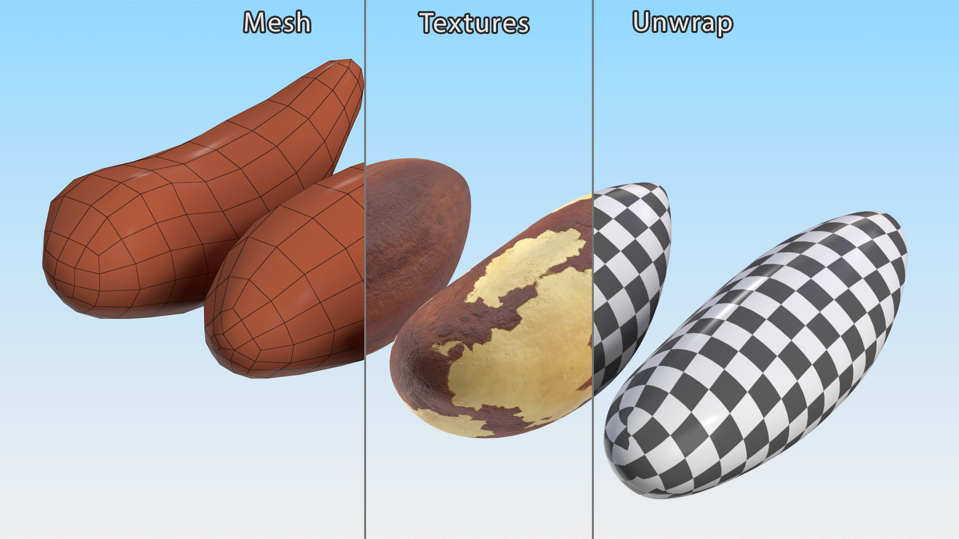 3D model Brazil Nut