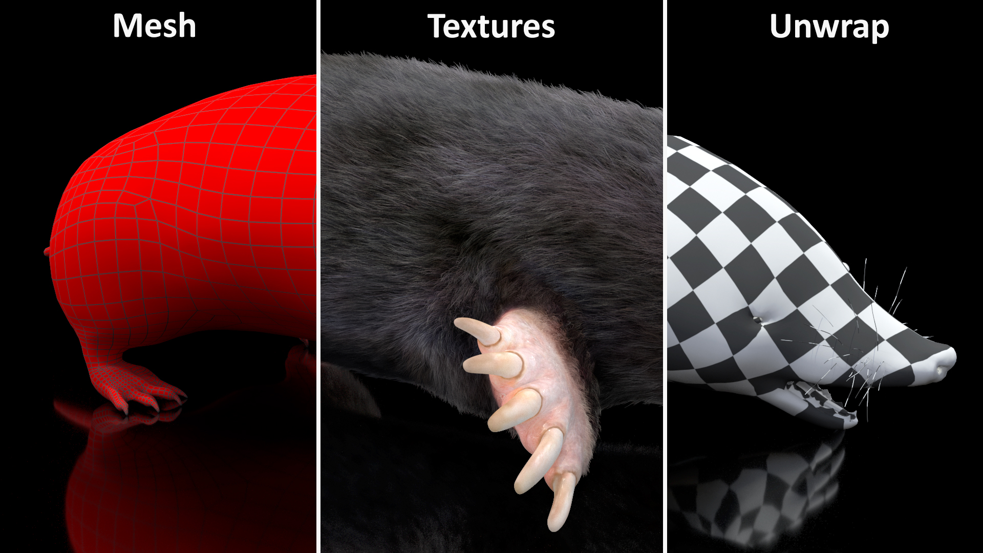 Mole Animal Fur Rigged 3D