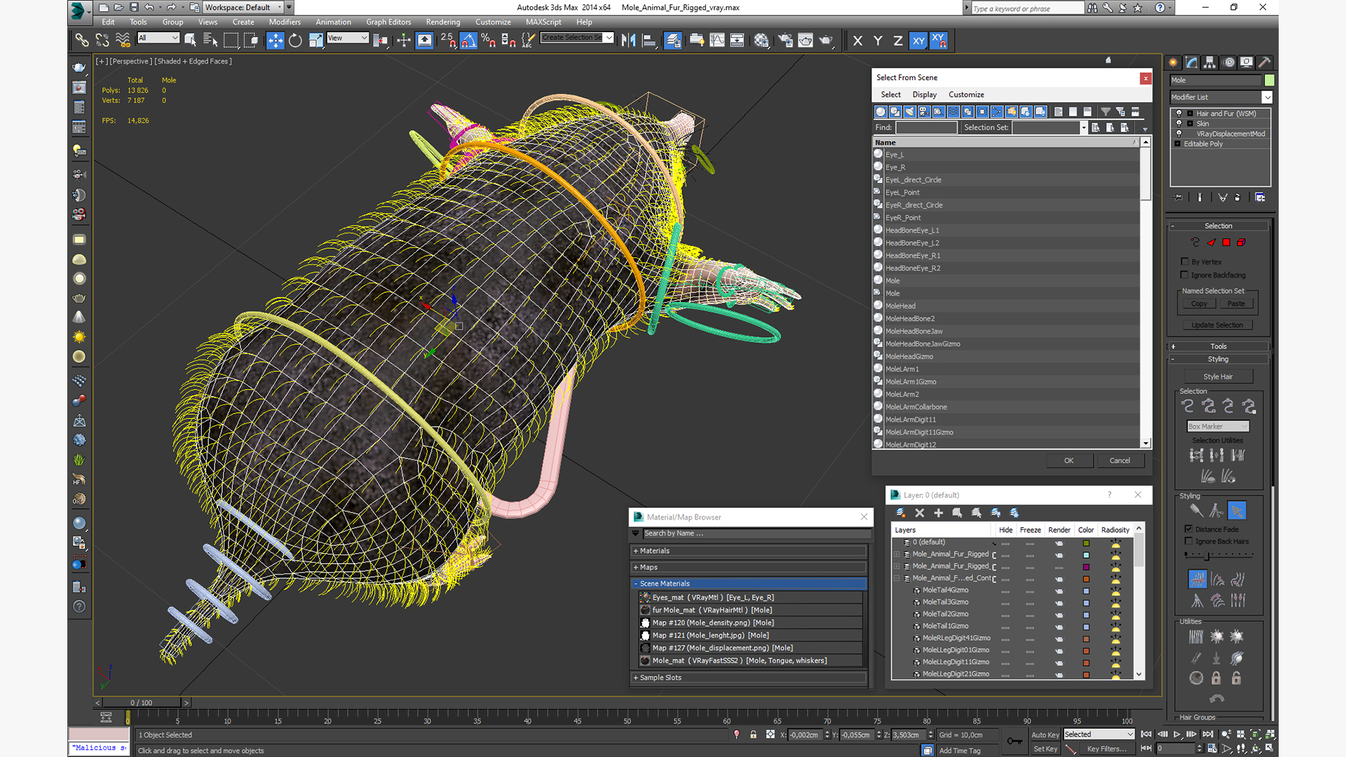 Mole Animal Fur Rigged 3D