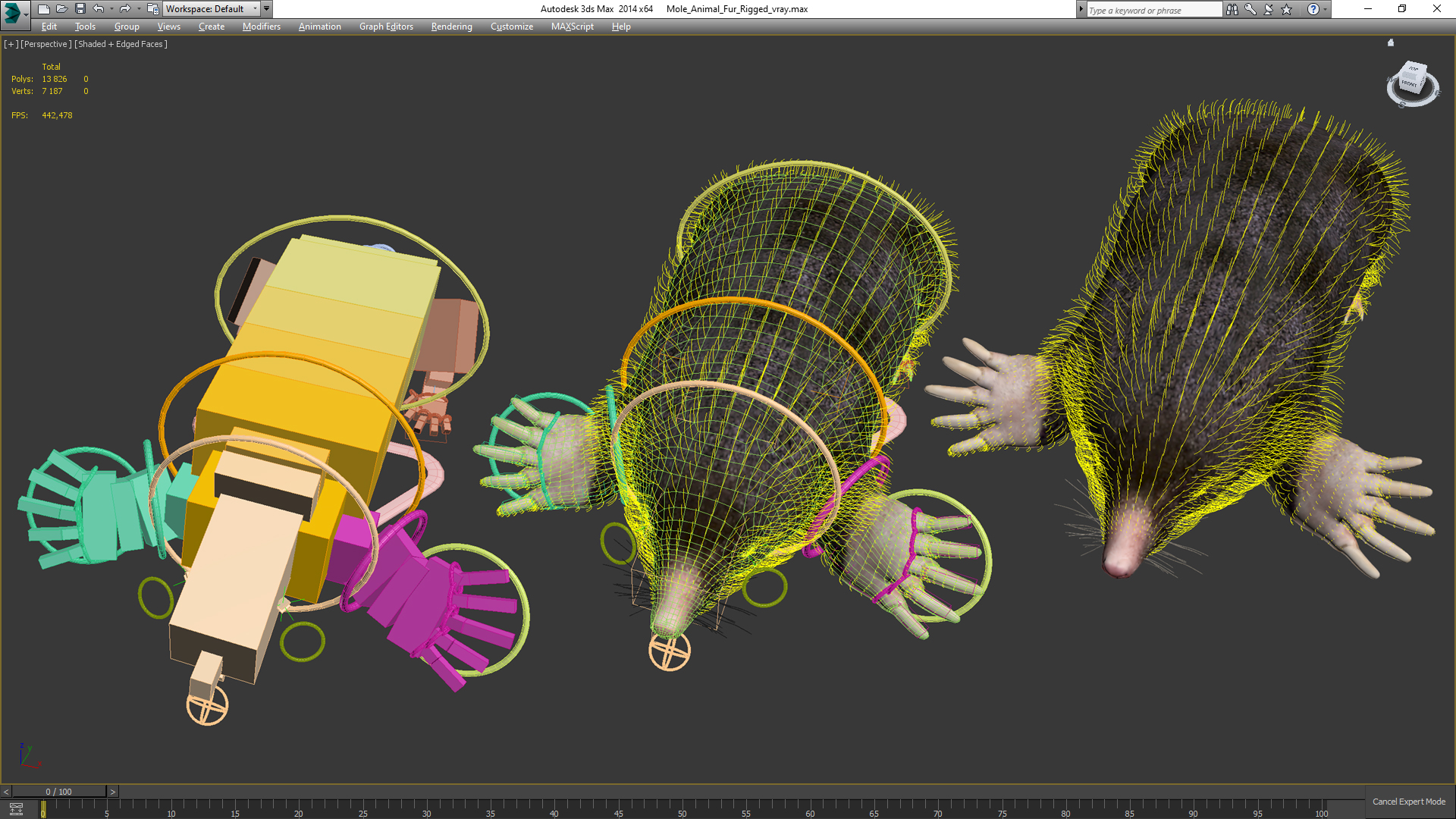 Mole Animal Fur Rigged 3D