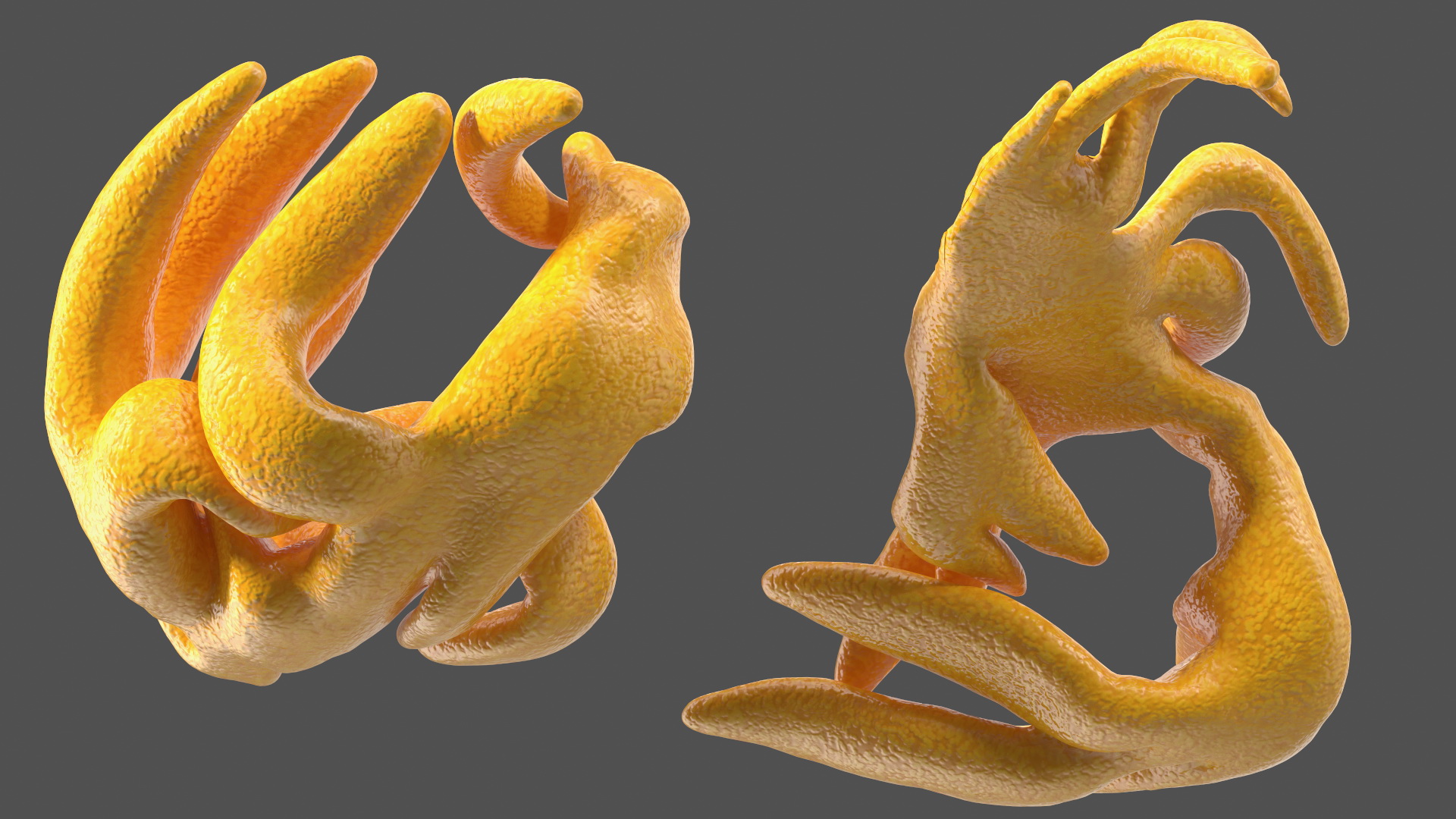 3D model Frog Internal Organs
