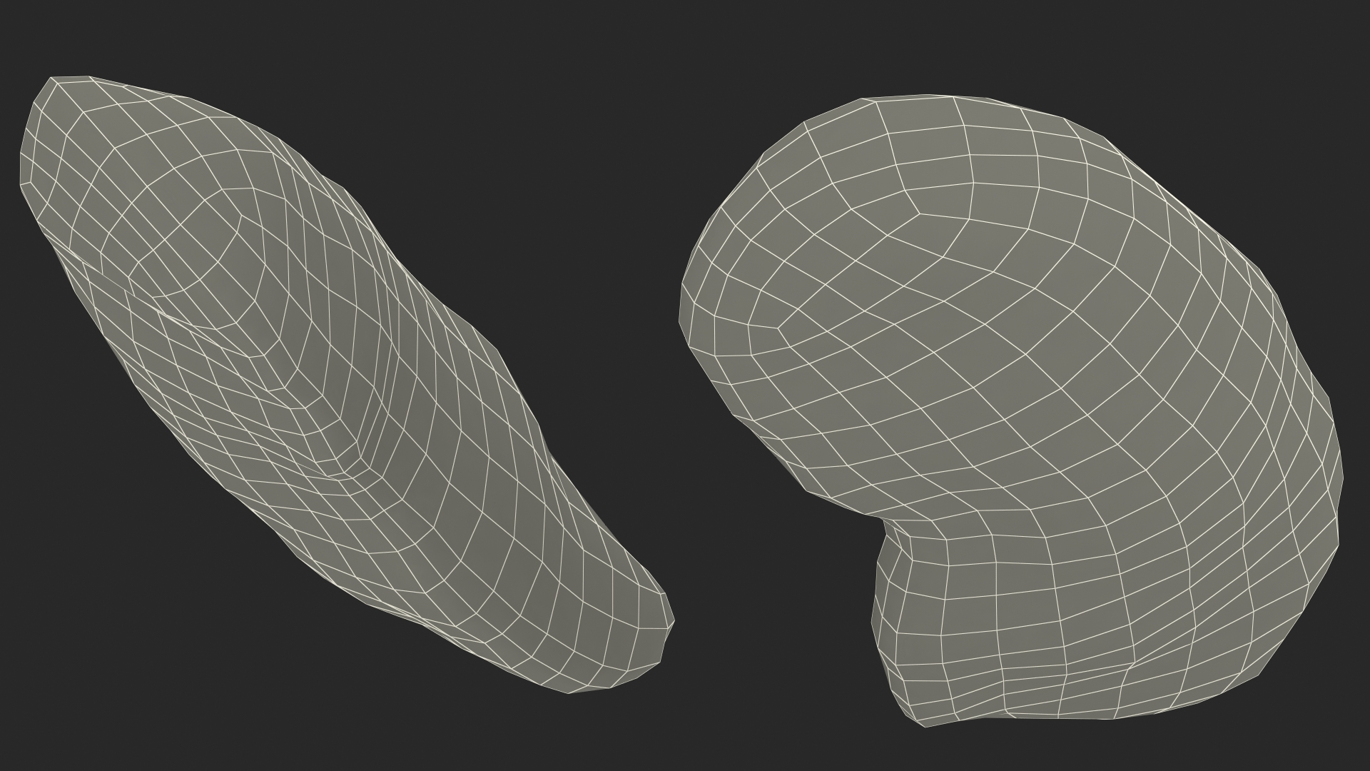 3D model Frog Internal Organs