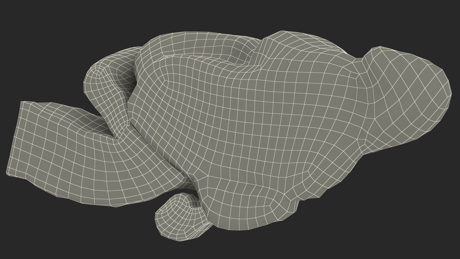 3D model Frog Internal Organs
