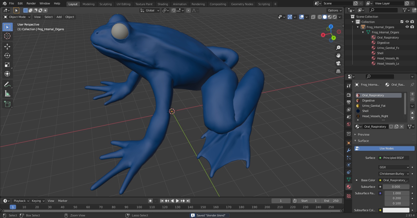 3D model Frog Internal Organs