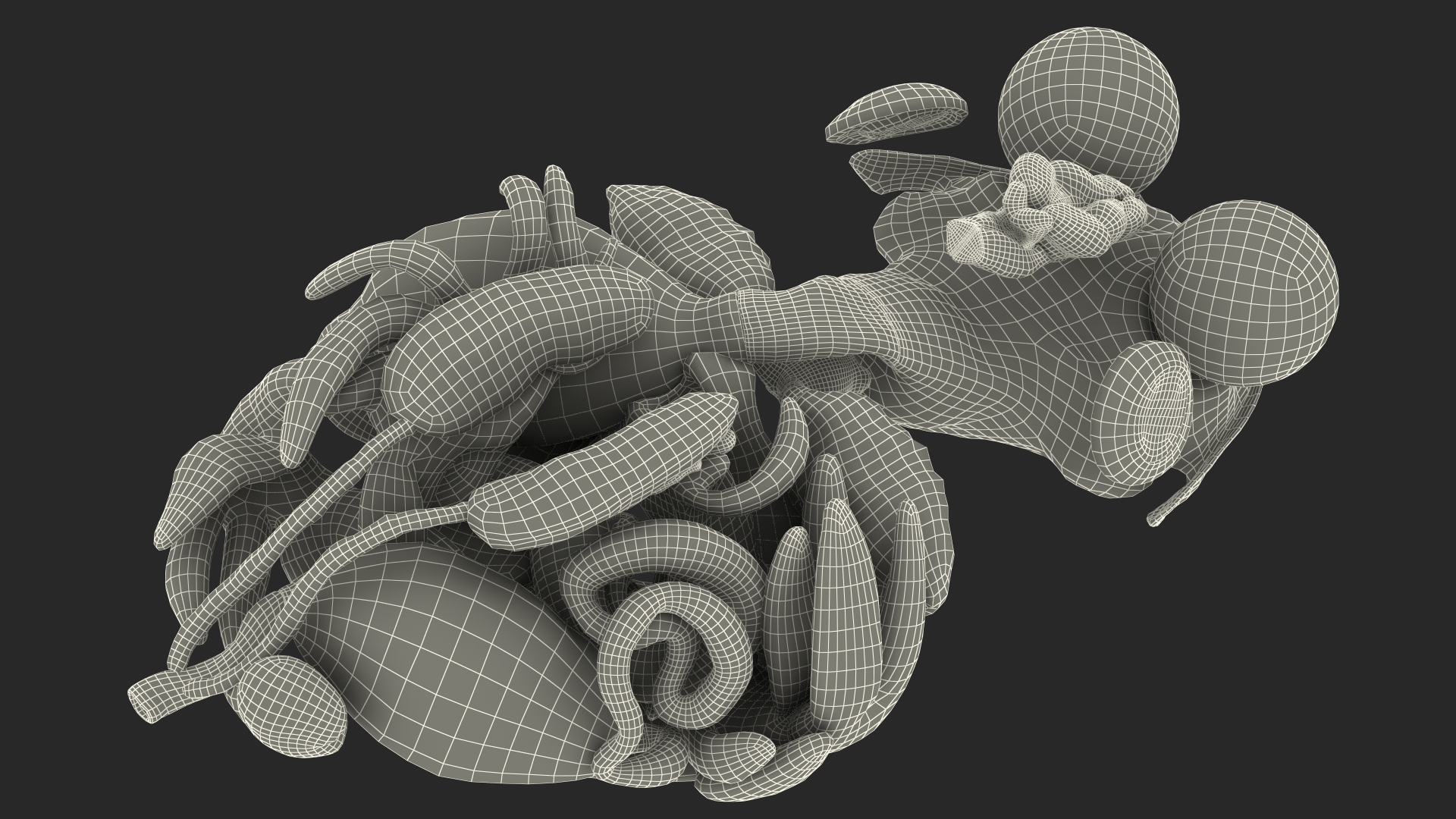 3D model Frog Internal Organs
