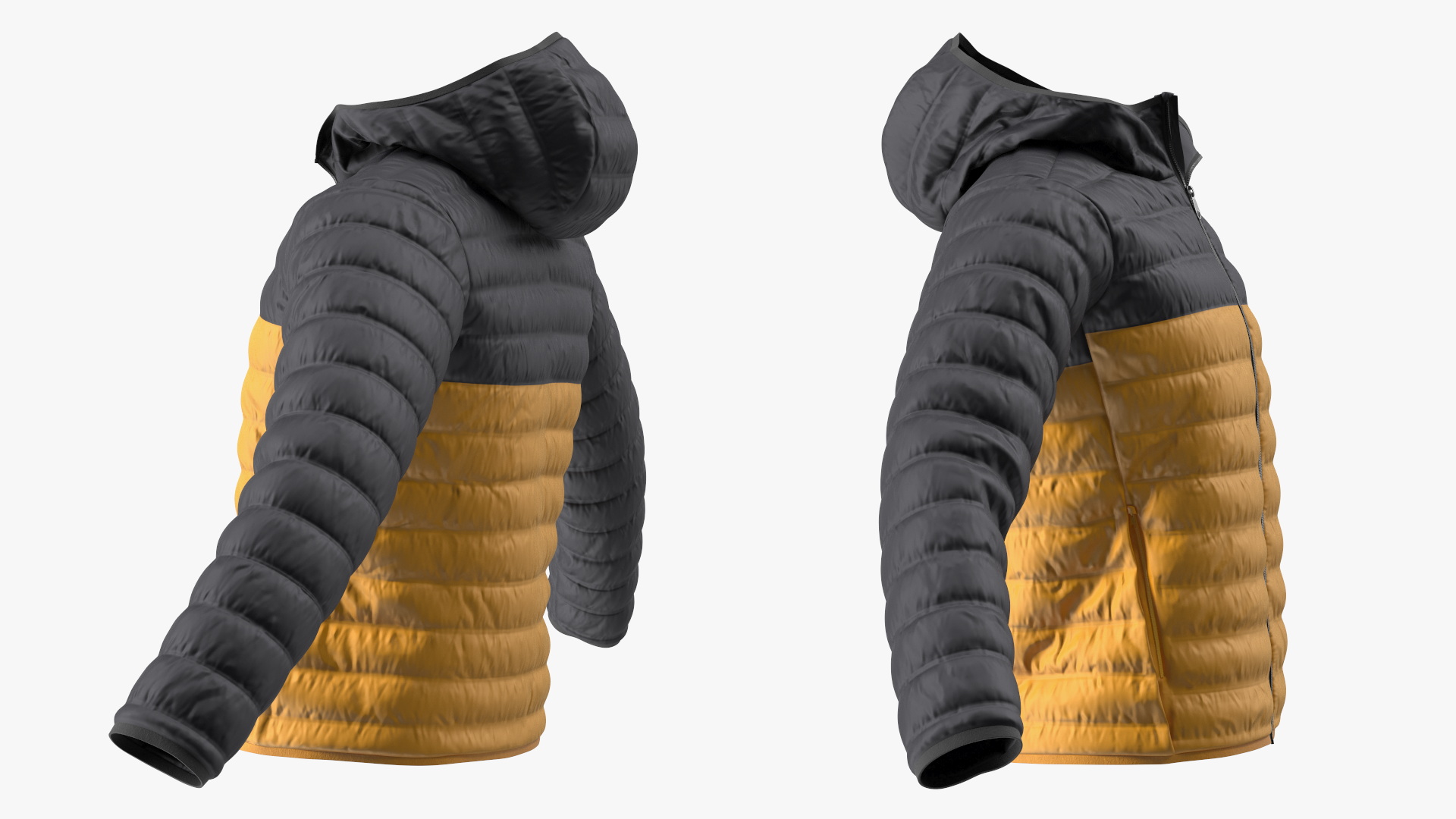 3D Yellow Jacket model