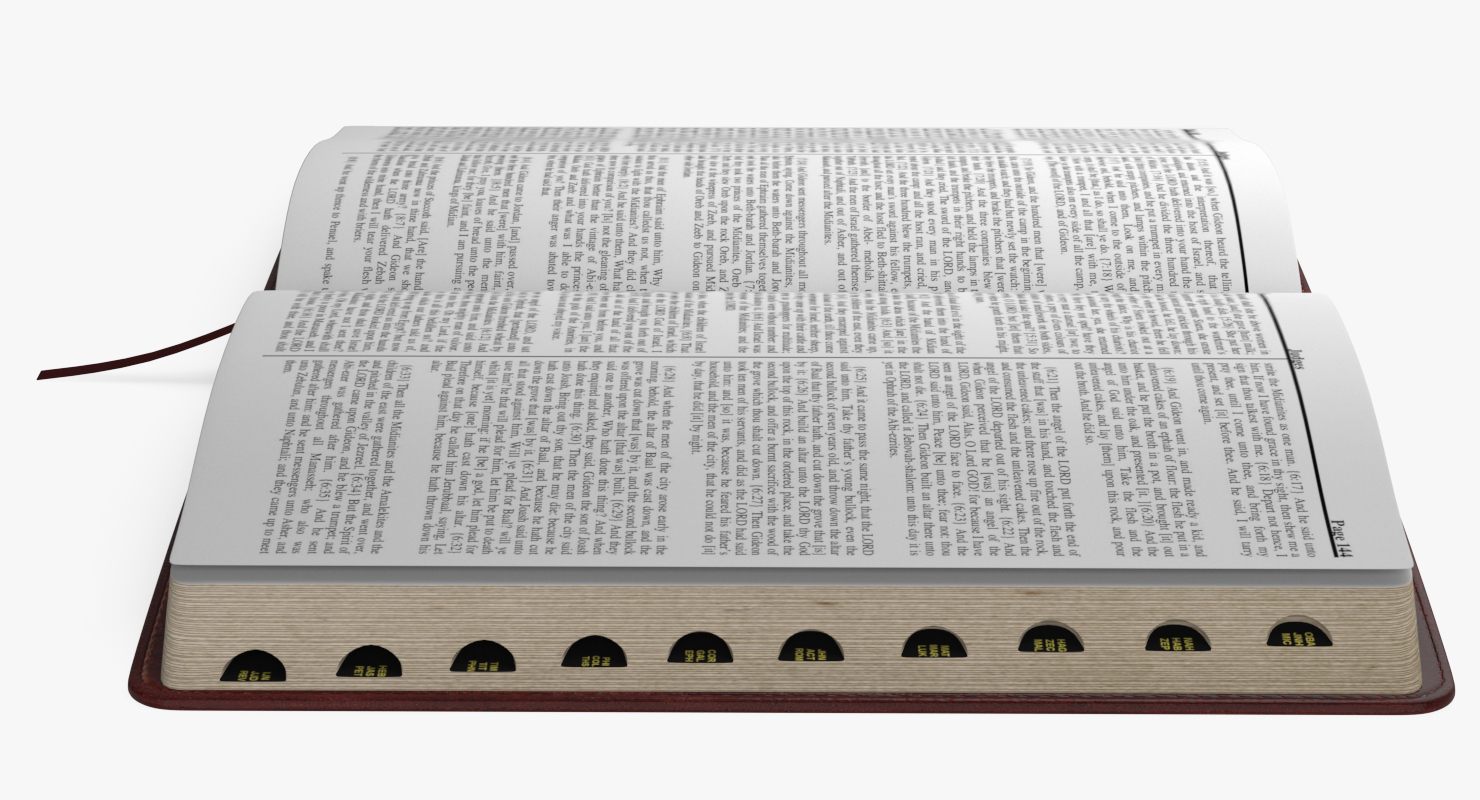 Holy Bible Opened Book 3D