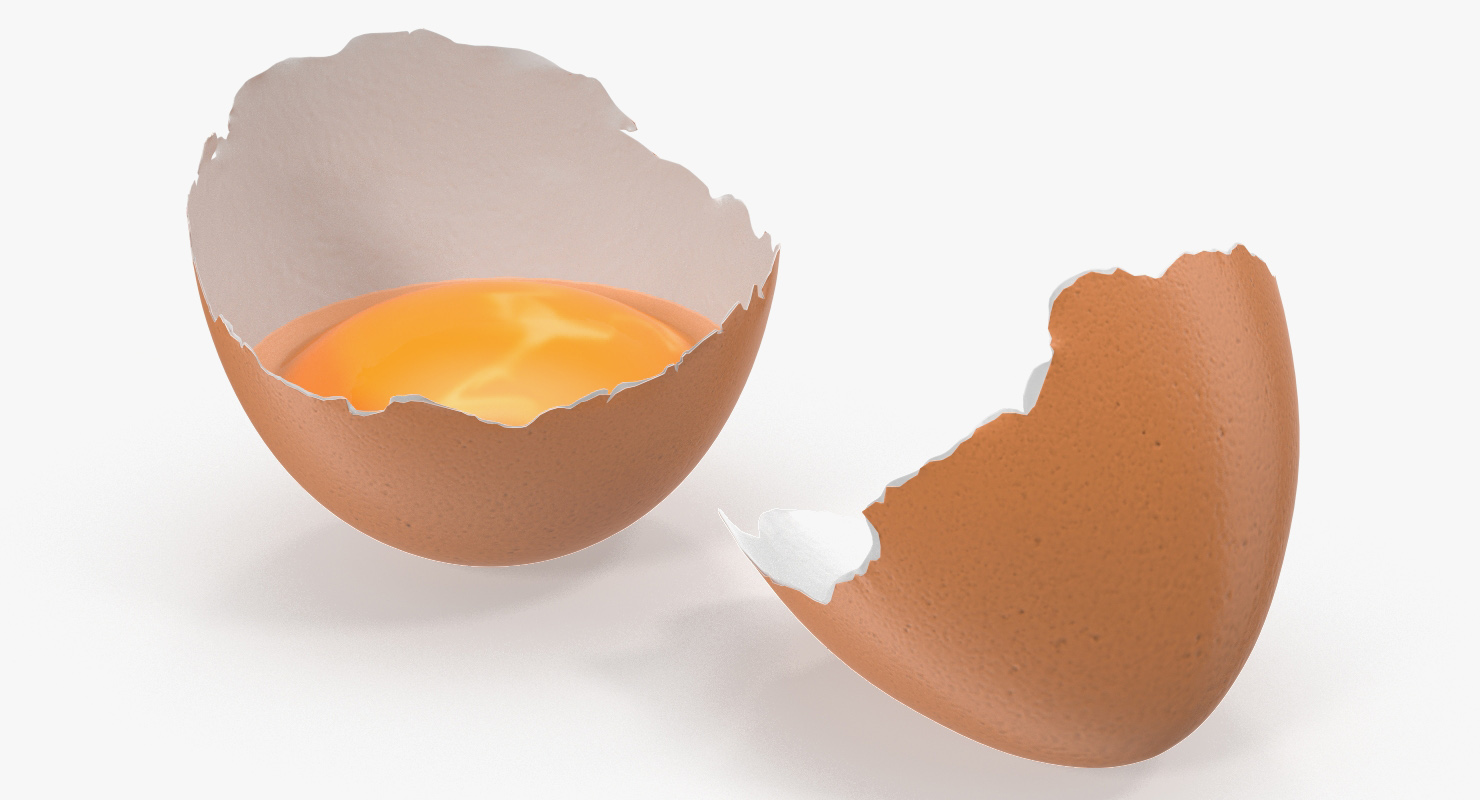 Cracked Egg Shell 3D