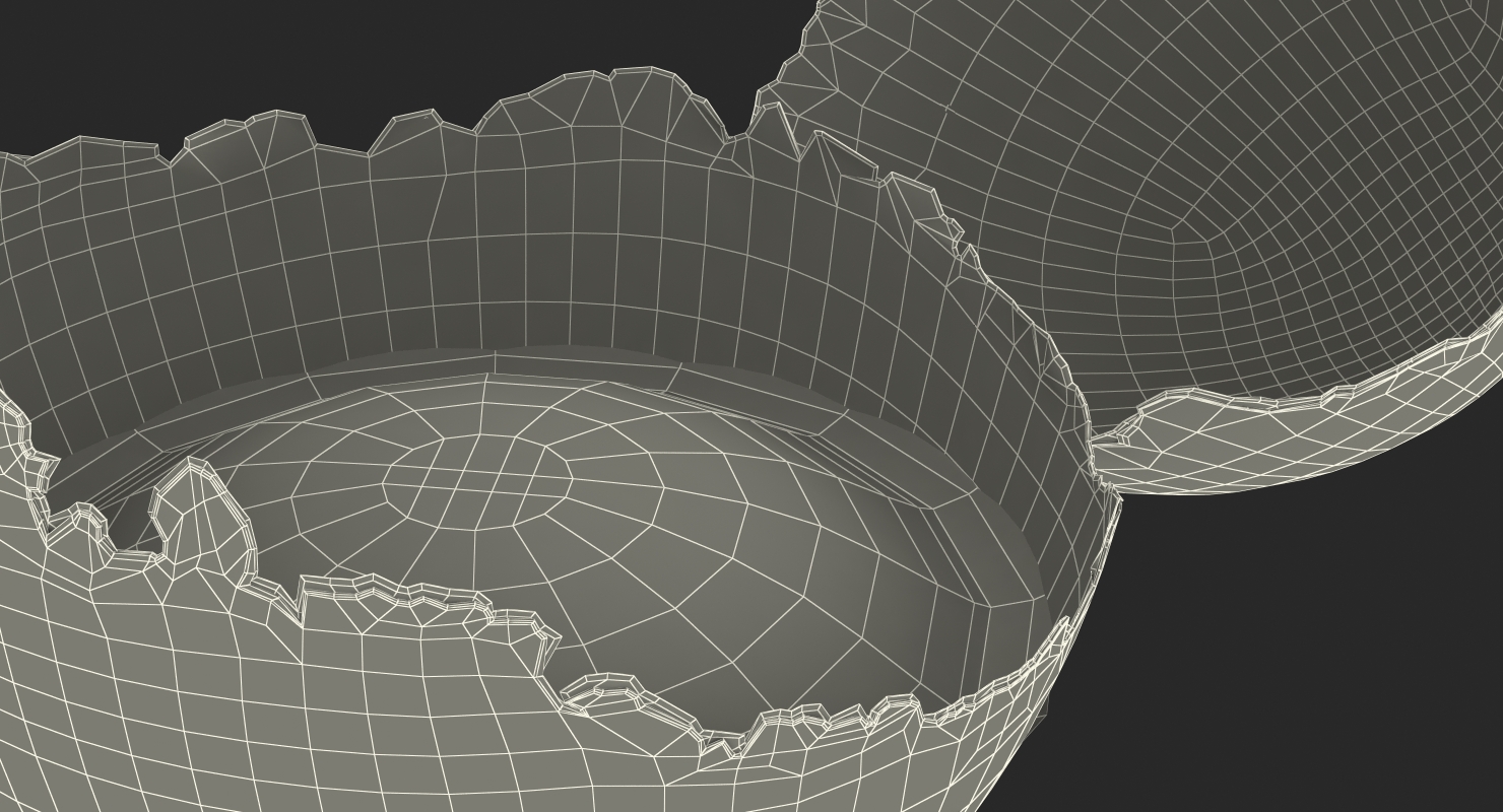 Cracked Egg Shell 3D