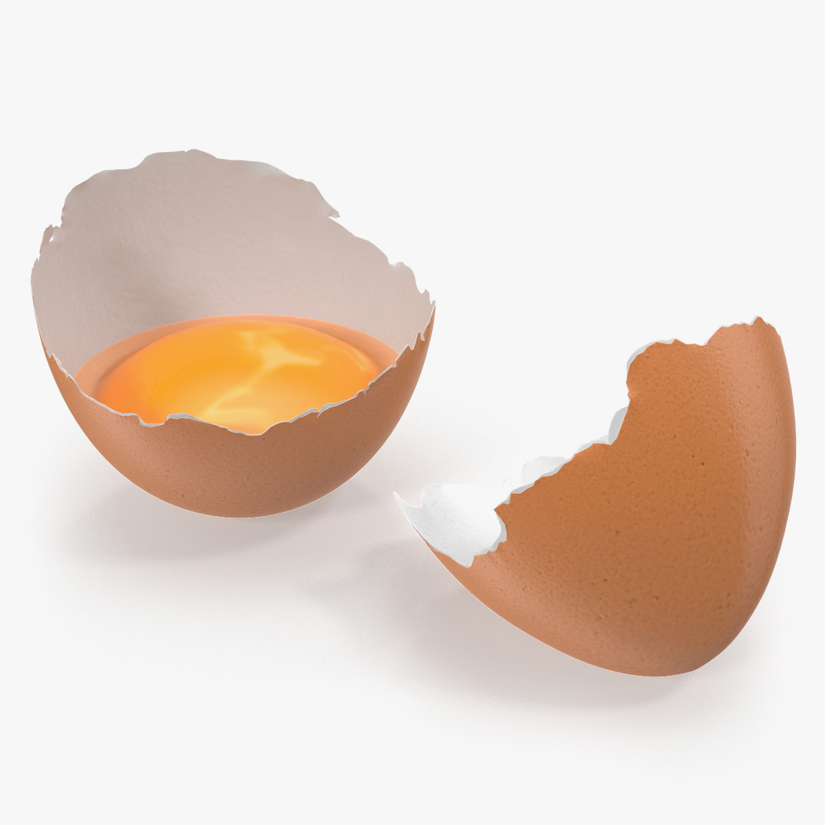 Cracked Egg Shell, view 4