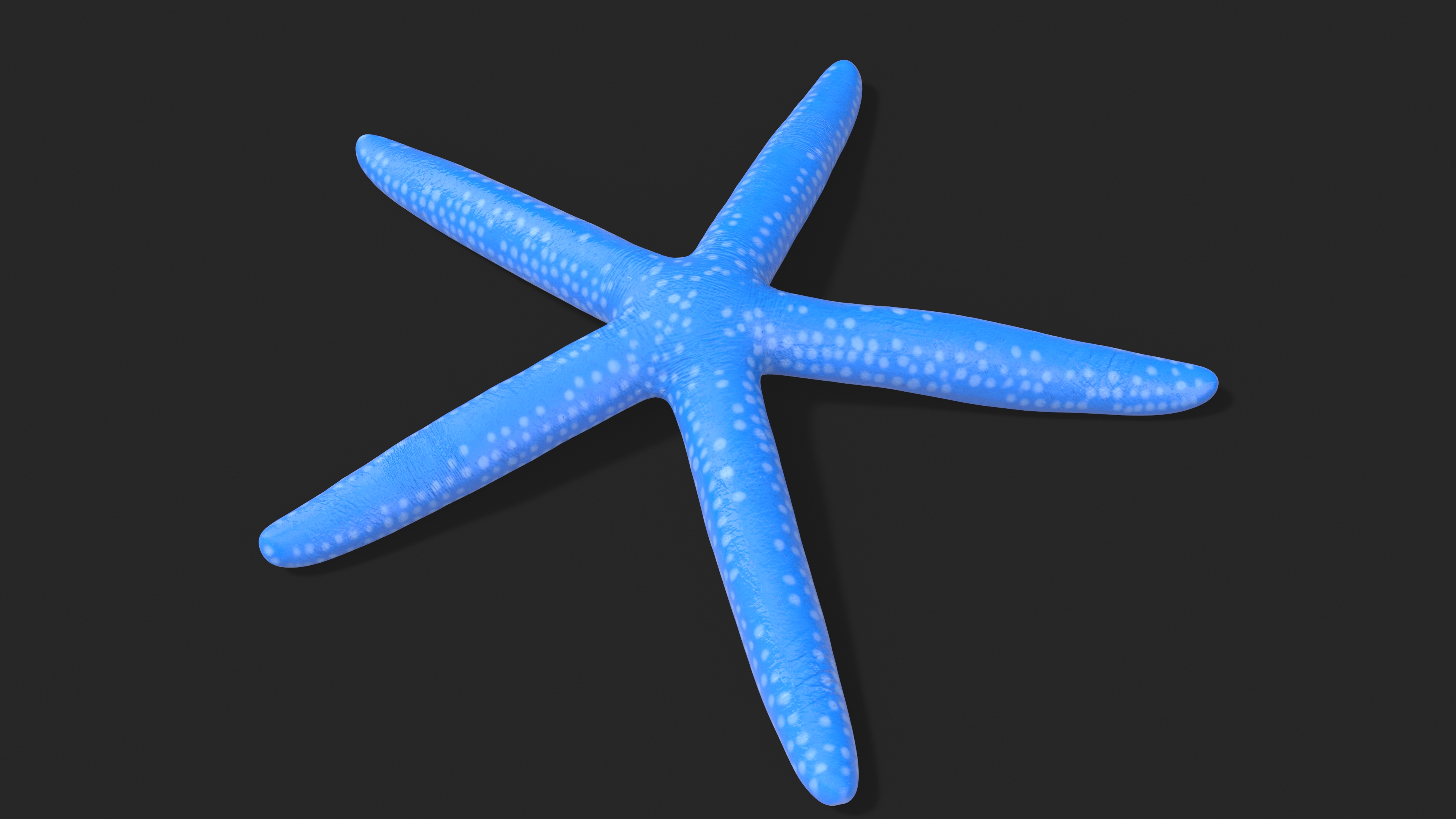 3D Blue Sea Star model