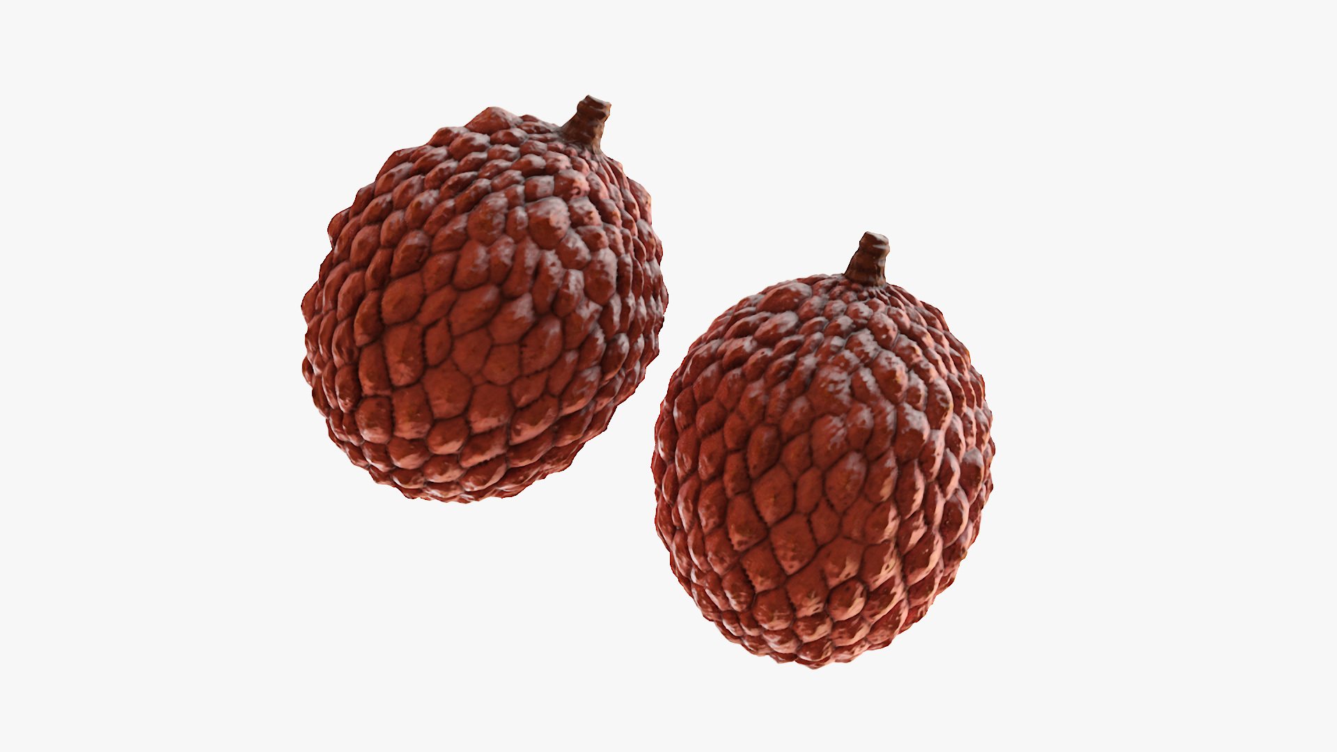 Lychee Fruit Pink 3D