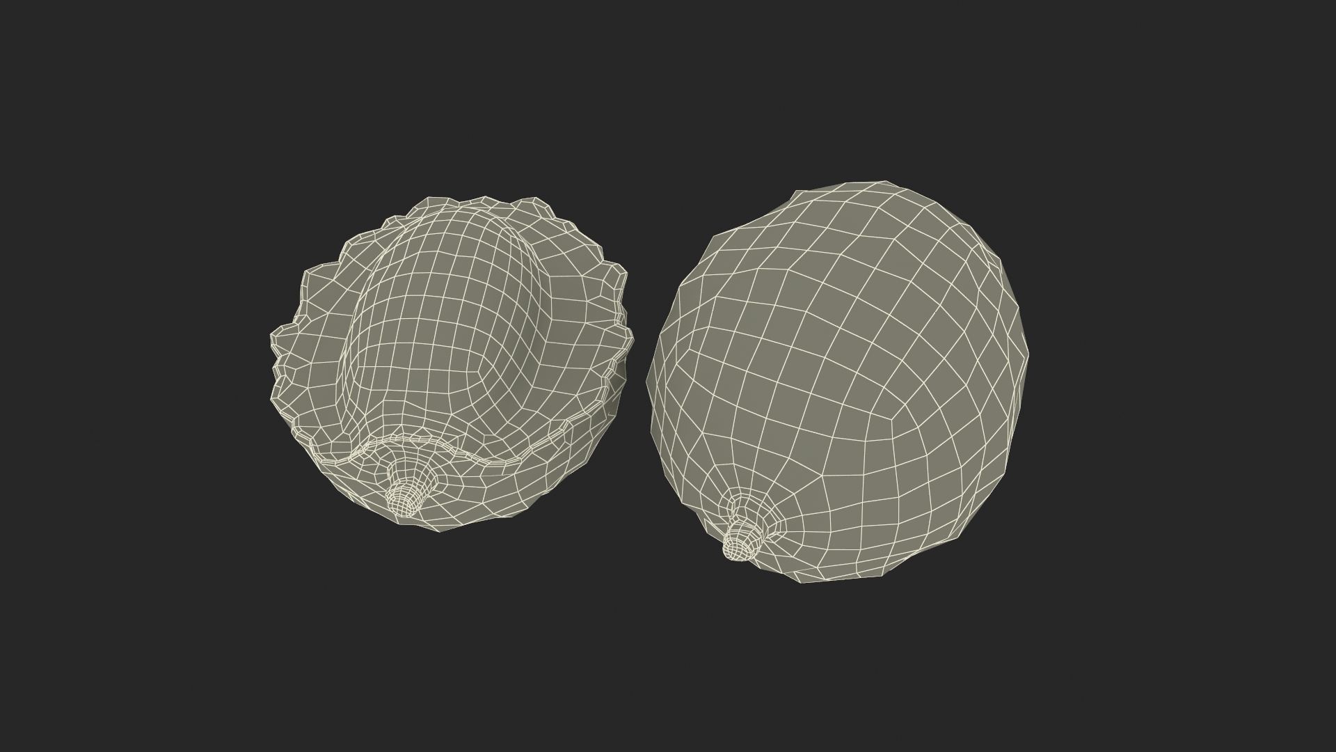 Lychee Fruit Pink 3D